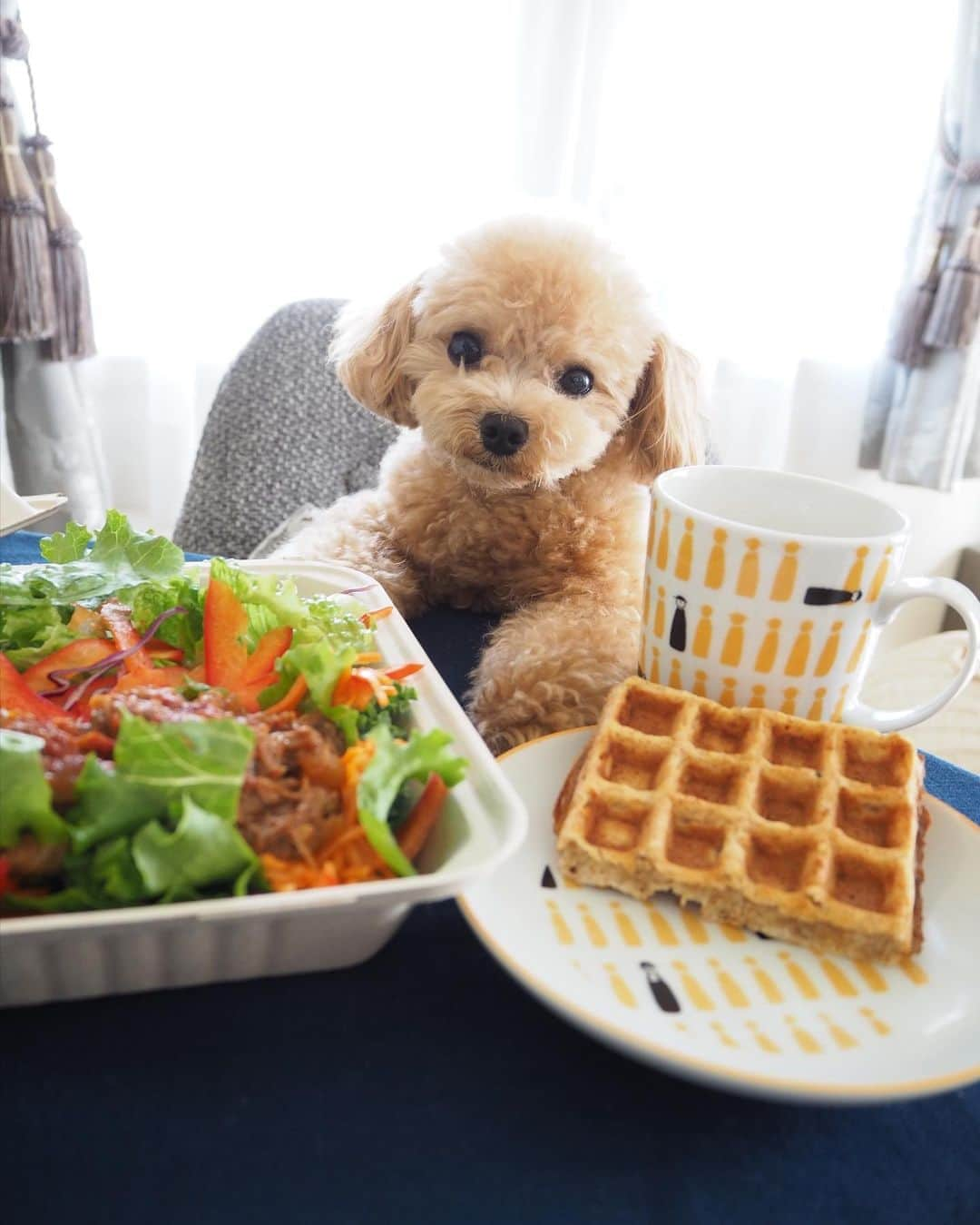 くるみたんのインスタグラム