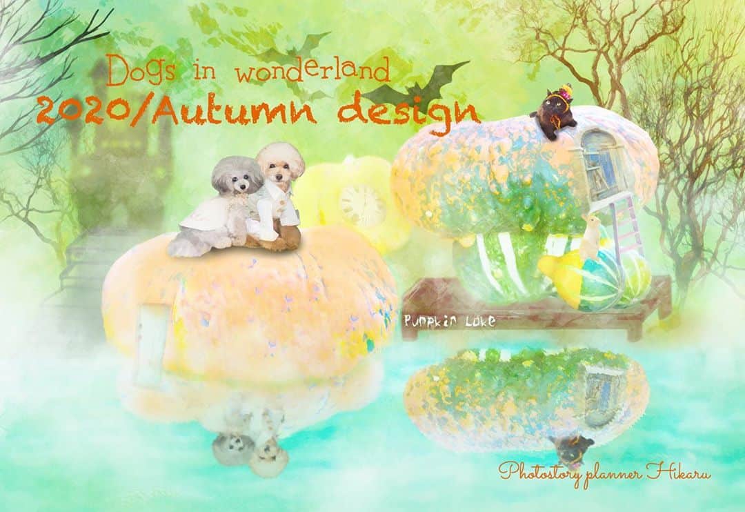 deco_moco_rinのインスタグラム：「* 季節に追いついた〜と思ったのもほんの一瞬でまたもや…😅 ハロウィンが終わるまでに完成納品することはないと思いますが、秋デザインのご案内です。 動物たち🐇🐈が秋を過ごす別荘地PumpkinLakeに遊びに行きませんか？🎃🤗 ❤︎♣︎♦︎♠︎ Dogs in wonderland ❤︎♣︎♦︎♠︎ 2020Autumn designオーダー受付を開始します。 * 今回はシニア枠はありません🙏 オーダーご希望の方の中から1名様にプレゼント、4名様をお引き受け、計5名様。 ⚠️プレゼントのみのご応募は受付していません🙇‍♀️ 5名様以上のご応募があった場合は抽選とさせていただきます。  非公開の方でも🆗です。 以下内容よくお読みくださいませ。 🗝🗝🗝🗝🗝🗝 ⬇︎ 対象: どなたでも🆗 写真があればお空組の子も🆗 * こちらのpostにコメントくださいませ。 5名様以上の場合コメント返信で抽選番号お伝えします。 * 受付締切:10/21（水）21時 * 事前に金額確認したい方はDMください。 過去にお伝えしているものと変更ありません。 当選後、写真は急ぎませんのでご都合よい時で大丈夫です。私の制作もかなりのんびりです。 * どうぞよろしくお願いいたします🐇 * #2020autumn_wonderland_hikaru」