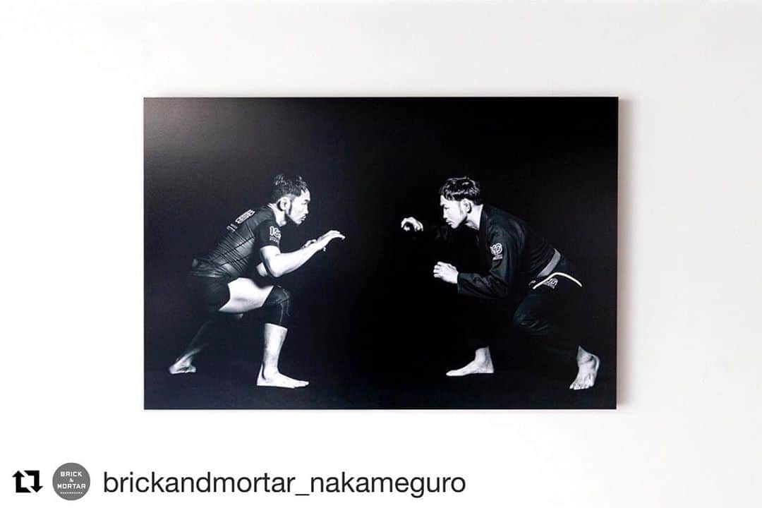 宇野薫さんのインスタグラム写真 - (宇野薫Instagram)「こちらも販売いたします！ よろしくお願いします。  #Repost @brickandmortar_nakameguro with @get_repost ・・・ . . 10月20日(火)よりスタートいたします「Caol Uno Jiu-Jitsu Gi Art Exhibition」 イベントグッズのご紹介です。  本イベント開催を記念したグッズとして、写真家のノルベルト・ルーベンが撮り下ろした宇野薫のポートレートを記念フレームにして（富士フイルムのパネル加工サービス「WALL DECOR」を使用）販売します。  宇野薫ポートレートフォト Supported by 富士フイルム（裏面にサイン入り） ￥11,000(税込)  ＜イベント概要＞ タイトル：Caol Uno Jiu-Jitsu Gi Art Exhibition 会期　　：2020年10月20日(火)～11月3日(火・祝)  ■メイン会場　BRICK & MORTAR 中目黒店 　住所　　：東京都目黒区中目黒 1-4-4 　営業時間：12:00～19:00 　定休日　：10/25(日),11/1(日)【会期中のみ】 　電話　　：03-6303-3300 　URL　　 ：http://www.brickandmortar.jp/  ■サテライト会場　HOLY SHIT 　住所　　：東京都世田谷区上馬1-16-9 　営業時間：10:00～20:00 　定休日　：不定休日あり 　電話　　：03-6450-9169 　URL　　 ：https://holyshit-store.com/  URL ：https://caol-uno-exhibition.stores.jp（特設ECサイト） 主催：有限会社宇野薫商店 協力：リーバイ・ストラウス ジャパン 株式会社、富士フイルム株式会社、村上美術株式会社  #宇野薫 #村上周 #小菅くみ #五木田智央 #ノルベルトルーベン #カミノゲ #リーバイス #富士フイルム #柔術 #総合格闘技 #宇野薫商店 #caoluno #amanemurakami #kumikosuge #tomoogokita #norbertoruben #kaminoge #levis #fujifilm #walldecor #bjj #jiujitsu #mma #grappling #holyshit #brickandmortar #brickandmortarnakameguro #smallgallery」10月19日 13時29分 - caoluno