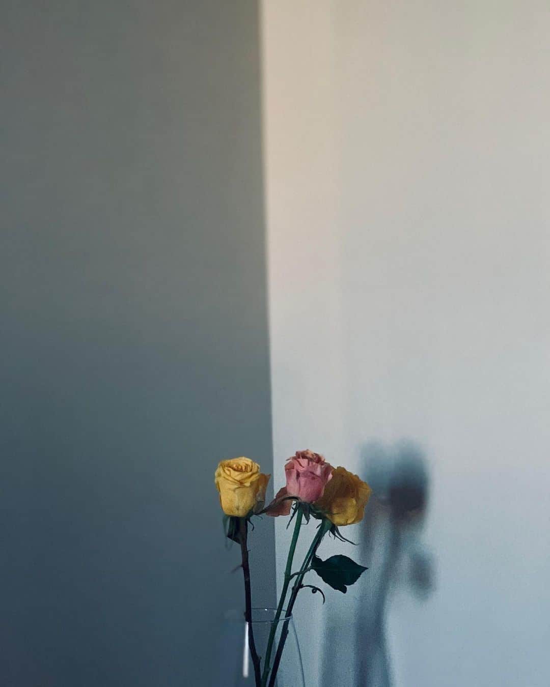 吉岡里帆さんのインスタグラム写真 - (吉岡里帆Instagram)「久しぶりにお花を寝室に。  新しい作品に入りました。 いつか経験したかった60年代の物語  #1960年代」10月19日 13時48分 - riho_yoshioka