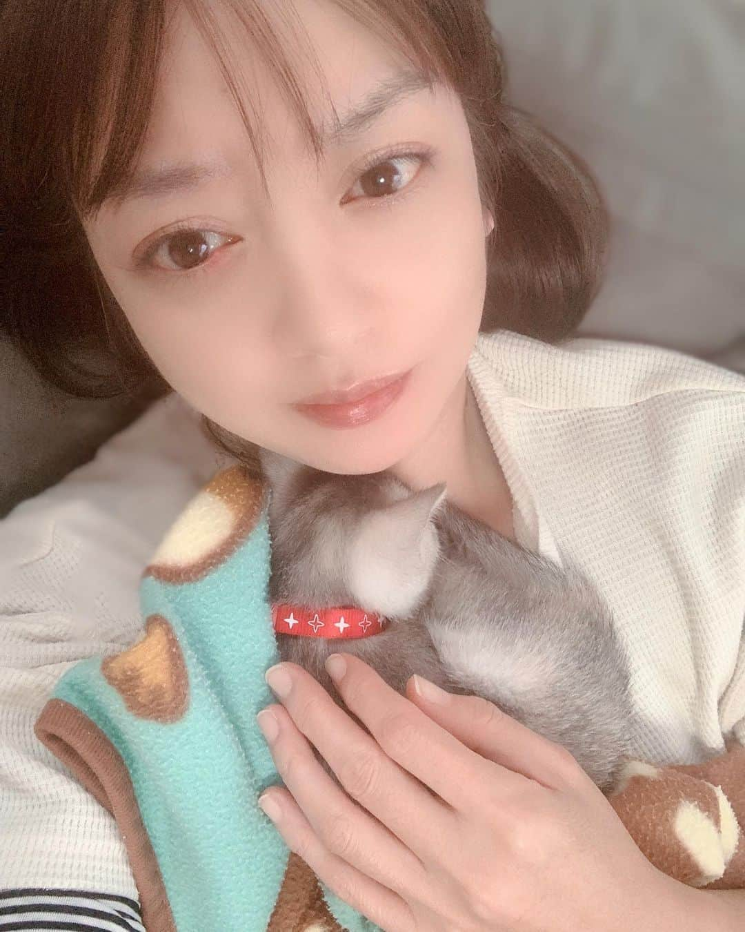 HANAさんのインスタグラム写真 - (HANAInstagram)「連投すみません💦 . . 結局みーちゃ❤は、この状態で小一時間ガン寝しちゃいまして😅その間なんも出来んやないか～💧 で、私はやっと今からお昼です(´>∀<｀)ゝﾊﾗﾍｯﾀ~ . . それから🙌お気づきの方もいらっしゃるかもしれませんが… はい😂みーちゃ❤が来てからバタバタで…また麦粒腫できちゃいました～ε”ε”ε”(ﾉ* •ω• )ﾉ💦 やっぱり一度お医者さんでちゃんと診てもらわんとダメやね😅🙌 . . #猫好き#保護猫#猫のいる生活#アラフォー#アラフィフ#大人女子#オトナ女子#中学生ママ#高校生ママ#熟女#セルフィー#セルフポートレート#自己満グラム#45歳#40代#40代女子#40代ママ#age45#smile#japanese#followme#asianbeauty#photooftheday#instagood」10月19日 13時59分 - hana.87ohana