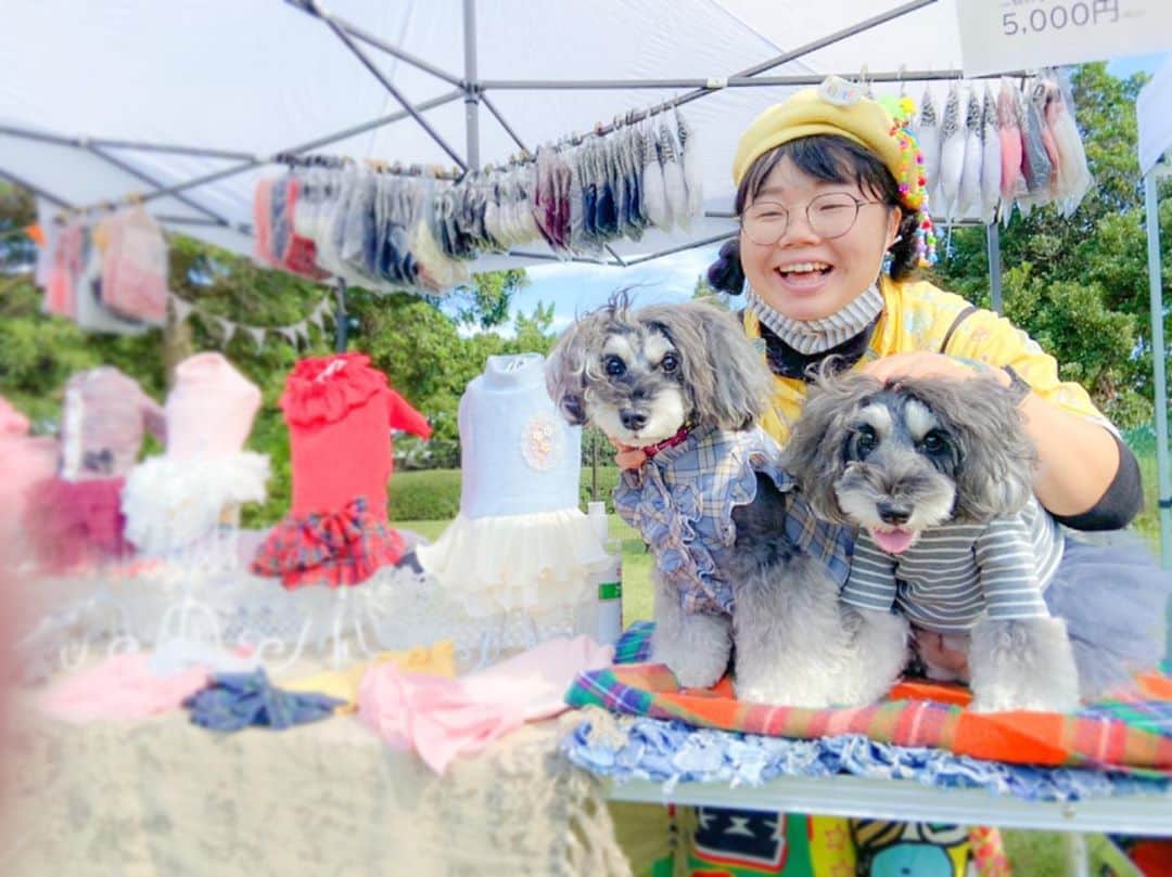 のインスタグラム：「⑅︎◡̈︎* ・ バルちゃんと一緒にこんばんワン🐾 昨日はマルフェスでバルちゃんと仲良しになったマーブルとイヴです٩( ´◡︎` )( ´◡︎` )۶ ・ 11月1日に開催するTHE genic DAY05にも　@barusamikoyasu ちゃんがやって来ますよぅ〜♪ ・ そして、 #ワンハンドペイント 書いて下さいます♫ ・ 愛犬を撫でる手の甲にポップアートをペイントして、愛犬に触れている写真をぜひSNSにご投稿下さい。 ・ ポップアートはきゃりーぱみゅぱみゅの『つけまつける』美術担当やももクロあーりんちゃんのソロシングルのジャケットを手掛けているバルサミコヤスちゃんです！ ・ とっても可愛くてキュートなバルちゃんのペイントアートをしてテンションMAXで『THE genic DAY05』楽しんで頂ければ幸いです♫ ・  ◆開催概要◆  『THE genic DAY 05』　  日時　11月1日(日)10時～16時 ・ 場所　イーノの森 Dog Garden特設エリア ・ 詳細は、 @genic_dog  プロフィール欄よりご確認頂けます。 ・ 皆様のお越しをお待ちしております♥︎︎∗︎*ﾟ どうぞ宜しくお願い致します♪ ・ #今日の写真はママスマホ撮影 #ジェニッカーズ  #わんこイベント  #dogenic #dogwear  #犬服  #わんことおでかけ #doglife #doglover #inuくらぶ_jpn #しゅなら部 #ミニチュアシュナウザー #ミニシュナ #シュナウザー #miniatureschnauzer #schnauzer #schnauzerofinstagram #schnauzer_lovers #schnauzer_of_instagram #asianfusiongrooming #inulog  #バルサミコヤス  #inutokyo  #only_one_wan  #paw_smile_pictures  #dogsta #insta_dog #wooftoday」