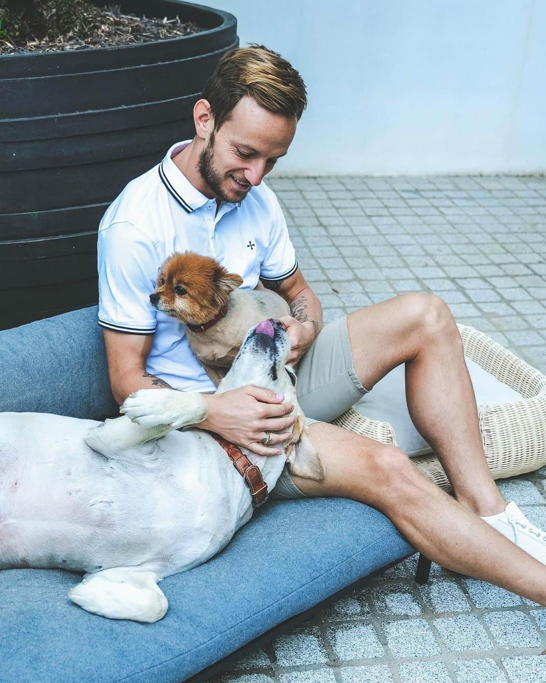 イヴァン・ラキティッチさんのインスタグラム写真 - (イヴァン・ラキティッチInstagram)「It looks like Nuno and Enzo love their new beds 😁👌🏽🐶 @miacaradesign #ivanrakitic   #miacara #miacaradesign #dogs」10月19日 23時56分 - ivanrakitic