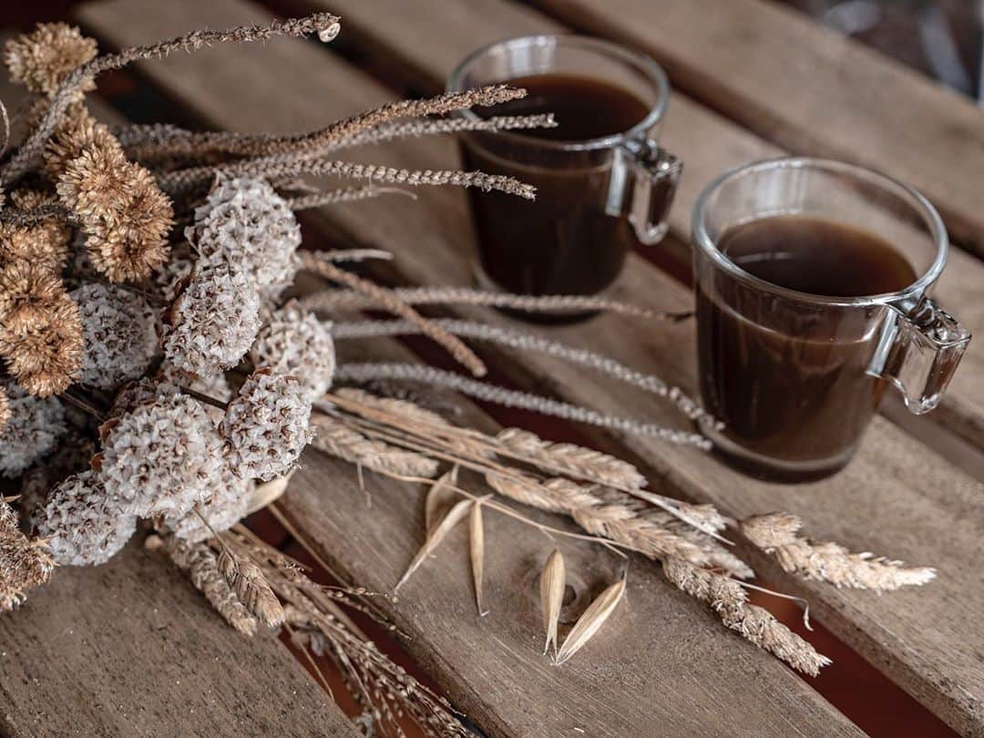 ナタリア・ディルのインスタグラム：「Pra começar a semana, café! ☕️   📸 @rogerio_boettger」
