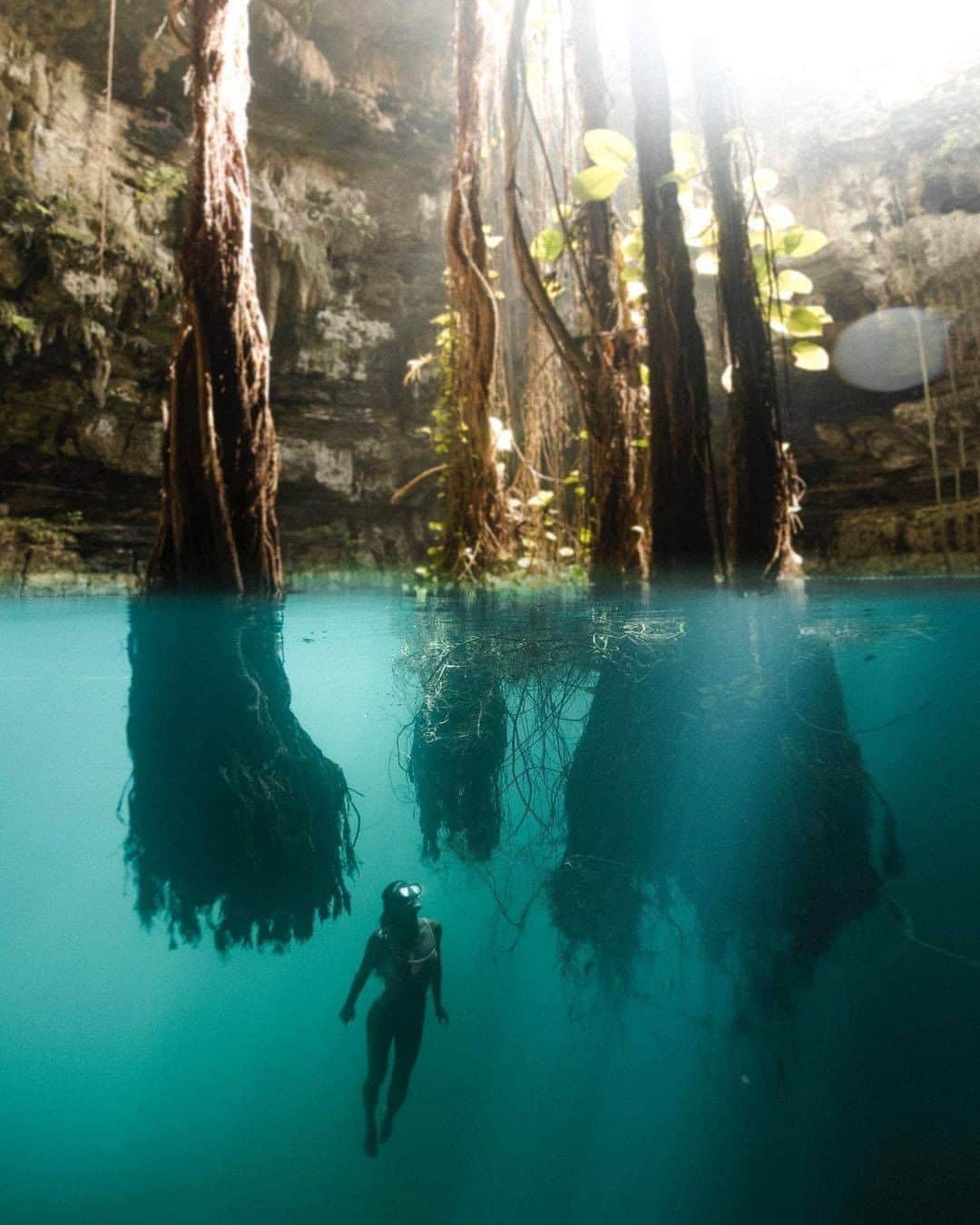 Discover Earthさんのインスタグラム写真 - (Discover EarthInstagram)「Tulum has so many incredible spots... "The roots grow as far down as they need to. They somehow sense the never ending supply of water below as they burrow through the limestone. The simplest way to explain some places is just that they are wild." 🇲🇽 #discovermexico with @josiahwg   #tulum #roots #underwaterphotography」10月20日 0時00分 - discoverearth