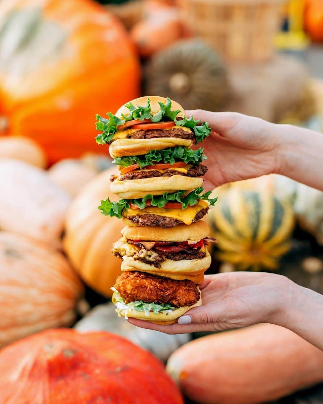 SHAKE SHACKさんのインスタグラム写真 - (SHAKE SHACKInstagram)「OH MY GOURD #shakeshack」10月20日 0時09分 - shakeshack