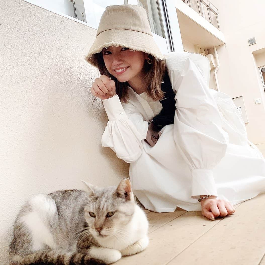 藤澤友千菜さんのインスタグラム写真 - (藤澤友千菜Instagram)「^._.^ ฅ おやすみにゃんっっ 10月30～11月1日の3日間は #ノーティーボーイズ の生配信 >>>>  https://twitcasting.tv/2015naughtyboys/shop 12月5日は #ミズタニ会議 の配信 >>>> https://passmarket.yahoo.co.jp/order/buy/edit?event_id=01d5sa11848pb  を観てくれたら嬉しいな♥ よろしくお願い致します！ **˟*˟⁕˟*˟**˟*˟⁕**˟*˟⁕˟*˟**˟*˟⁕ #舞台 #生配信 #ドラマ生配信 #劇団expo2020 #演劇祭 #劇団ノーティーボーイズ #ツイキャス #コメディ #猫 #可愛い #にゃんにゃん #猫顔 #犬猫好き #女優 #モデル #藤澤友千菜 #followｍe #cat #instagood #actor #fashion」10月20日 0時18分 - yuchina1207