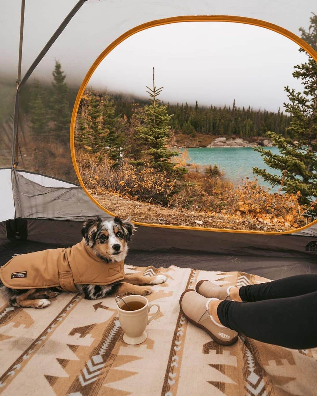 のインスタグラム：「"Craving some quality time with my little hairy man, and what better way than to have a tent date together and a hike around the lake.  The Howser II shoe has been an amazing addition for these outdoor adventures. The soft liner is perfect for chilling out at home or in the van and the grippy sole allows for quick adventures. They feel like I'm wearing the coziest slipper, but I don't have to take them off to hike! I guess you could say it's like I'm bringing the comfort of inside, outside! #WildSoles"  📸 : @nikkibigger」