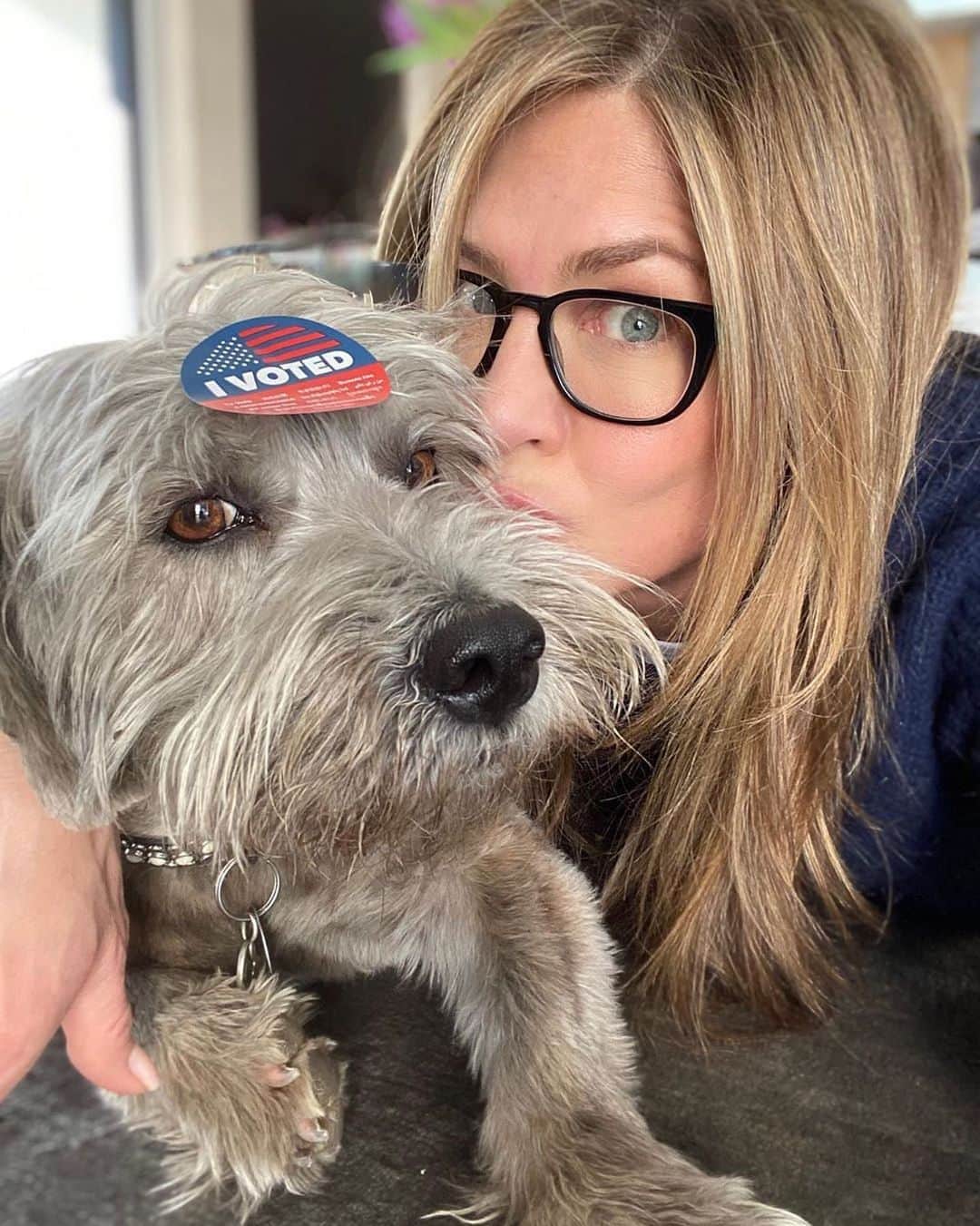 Cosmopolitanさんのインスタグラム写真 - (CosmopolitanInstagram)「As if ya needed another reason to #vote this year, @jenniferaniston presents: the #voting sticker as dogcessory 💘 🐶」10月20日 0時33分 - cosmopolitan