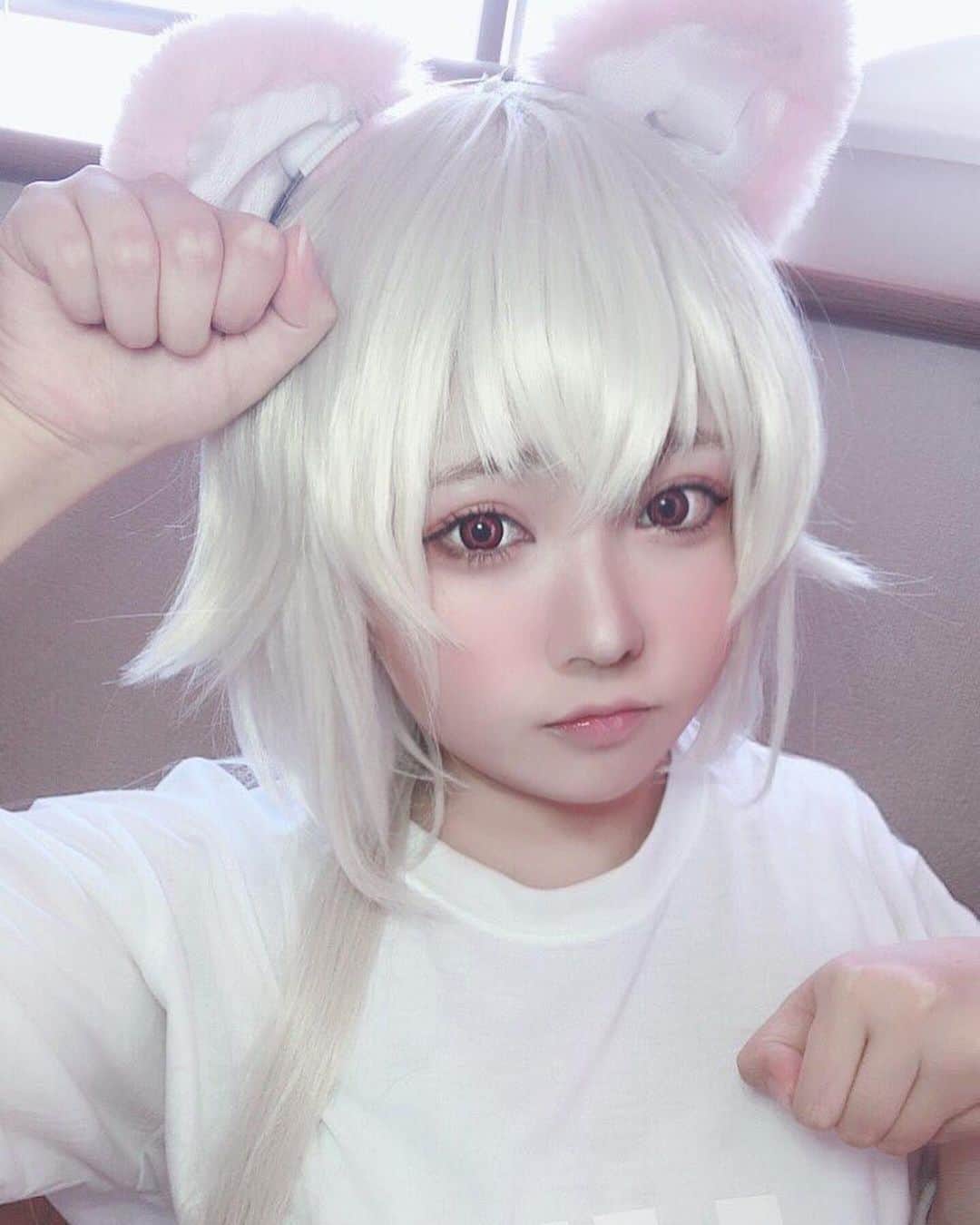 あまにのインスタグラム：「創作ネコ〜🐈 ・ ・ ・ #cosplay #cosplayer #cosplaygirl #コスプレ #コスプレイヤー #創作 #anime #japanesegirl #猫耳 #角色扮演 #selfie #cosplayersofinstagram #コスプレイヤーさんと繋がりたい」