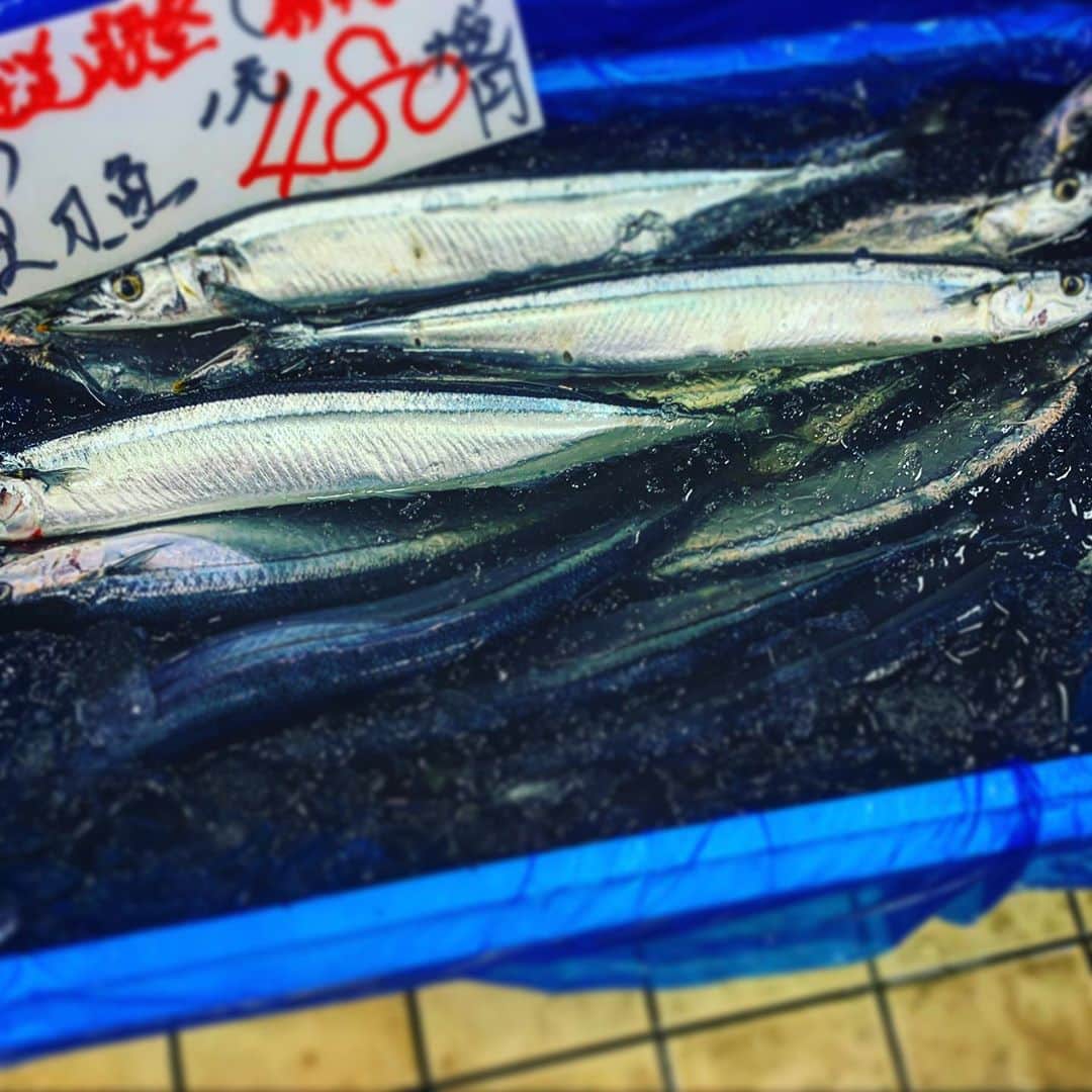 酒井健太さんのインスタグラム写真 - (酒井健太Instagram)「お初  #秋刀魚 #店にねーなら #焼くしかねー #焼魚は #実家」10月19日 15時54分 - kenta_sakai