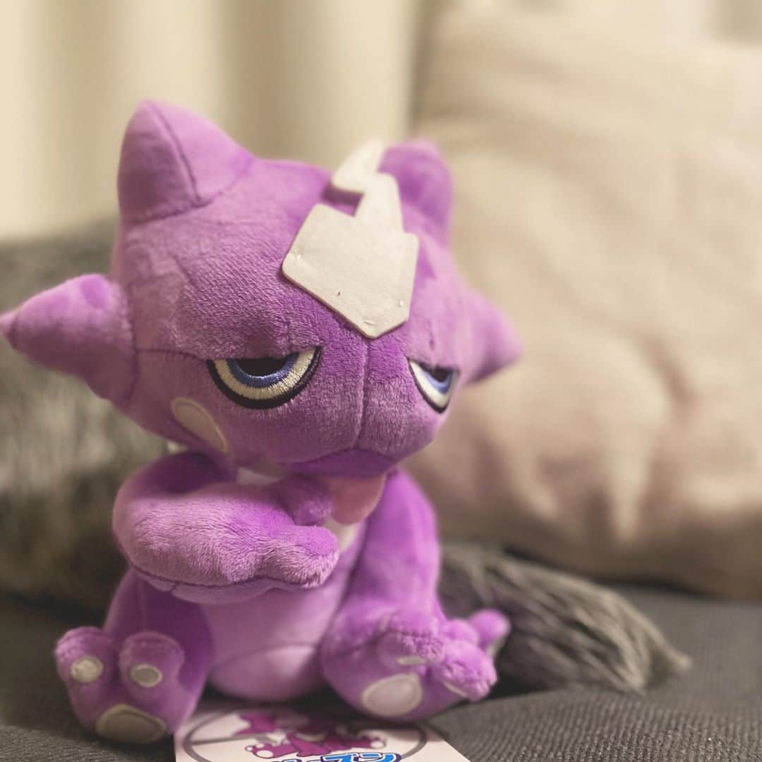 永井亜子さんのインスタグラム写真 永井亜子instagram 待ちに待ったエレズンのぬいぐるみ エレズン Pokemon ポケモン剣盾 10月19日 16時13分 Ako