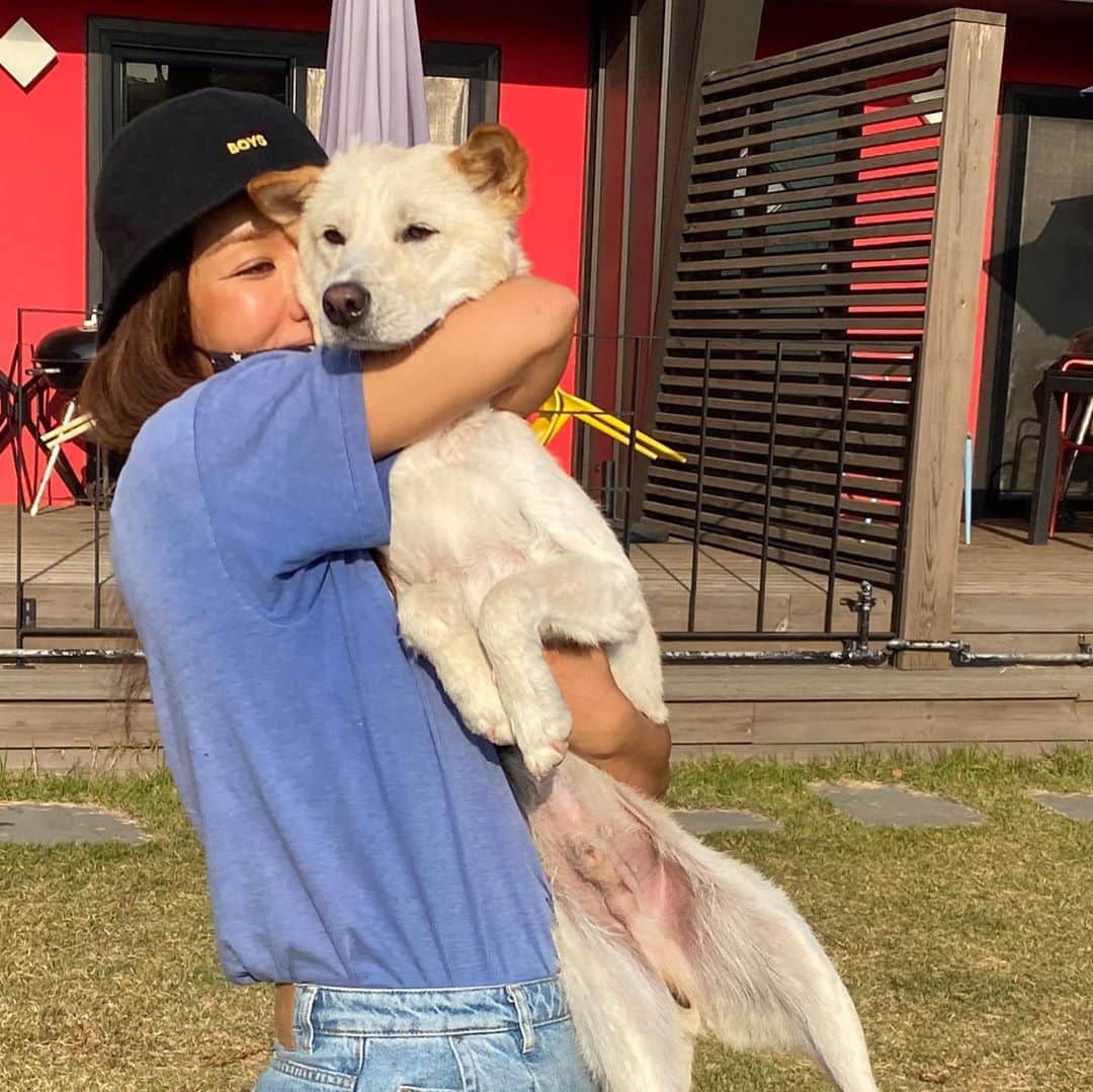 オム・ジョンファさんのインスタグラム写真 - (オム・ジョンファInstagram)「슈퍼야.  산책교육 잘 받아줘. 암마도 잘 배울게.  그래서 우리 어디든 함께가자 !! 오래오래」10月19日 16時06分 - umaizing