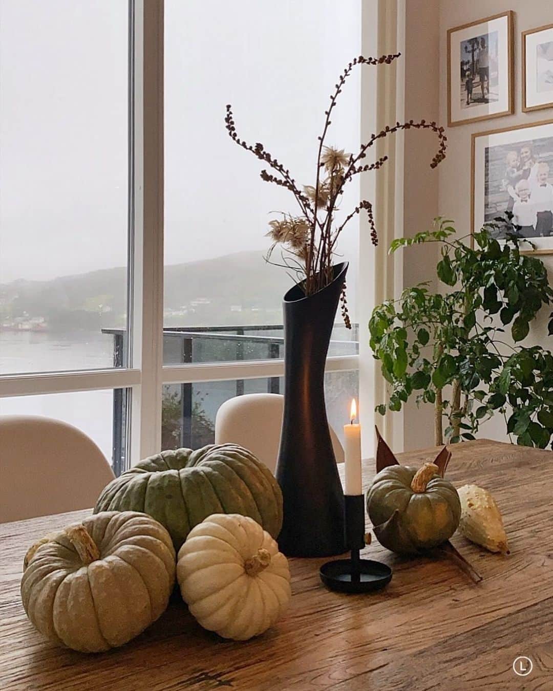 Inger-Lise Lillerovdeのインスタグラム：「annonse| Med ønske om en fin ukestart 🍂 Den fineste høstpynten er den levende, synes jeg -og @plantasjen har er stort utvalgt! Gleder meg til å dekke bord kjenner jeg! Lag deg en fin mandag da 🤎 _________________________________ #plantasjen #gresskar #høst #fall #autumn #bord #spisebord #høststemning #høstfarger #høstbord #inspirasjonsguidenhøst @inspirasjonsguidennorge #fallinspo #spisestue #spisebord #interiør #interiors #interieur #interiör #interiørinspirasjon #interiørtips #inredning #inredningsdesign #inredningsinspiration #homestyle #bordpynt #hem_inspiration #interior4inspo @interior4inspo #ourluxuryhome @ourluxuryhome」