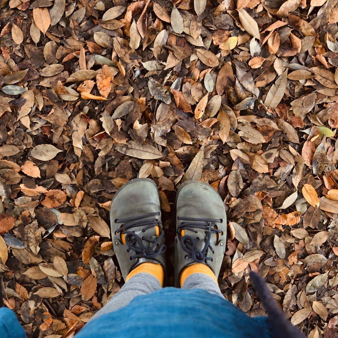 KEINA HIGASHIDEのインスタグラム：「深まる秋。 落ち葉の絨毯がフカフカ🍂  #ひさしぶりの東京 #善福寺公園」