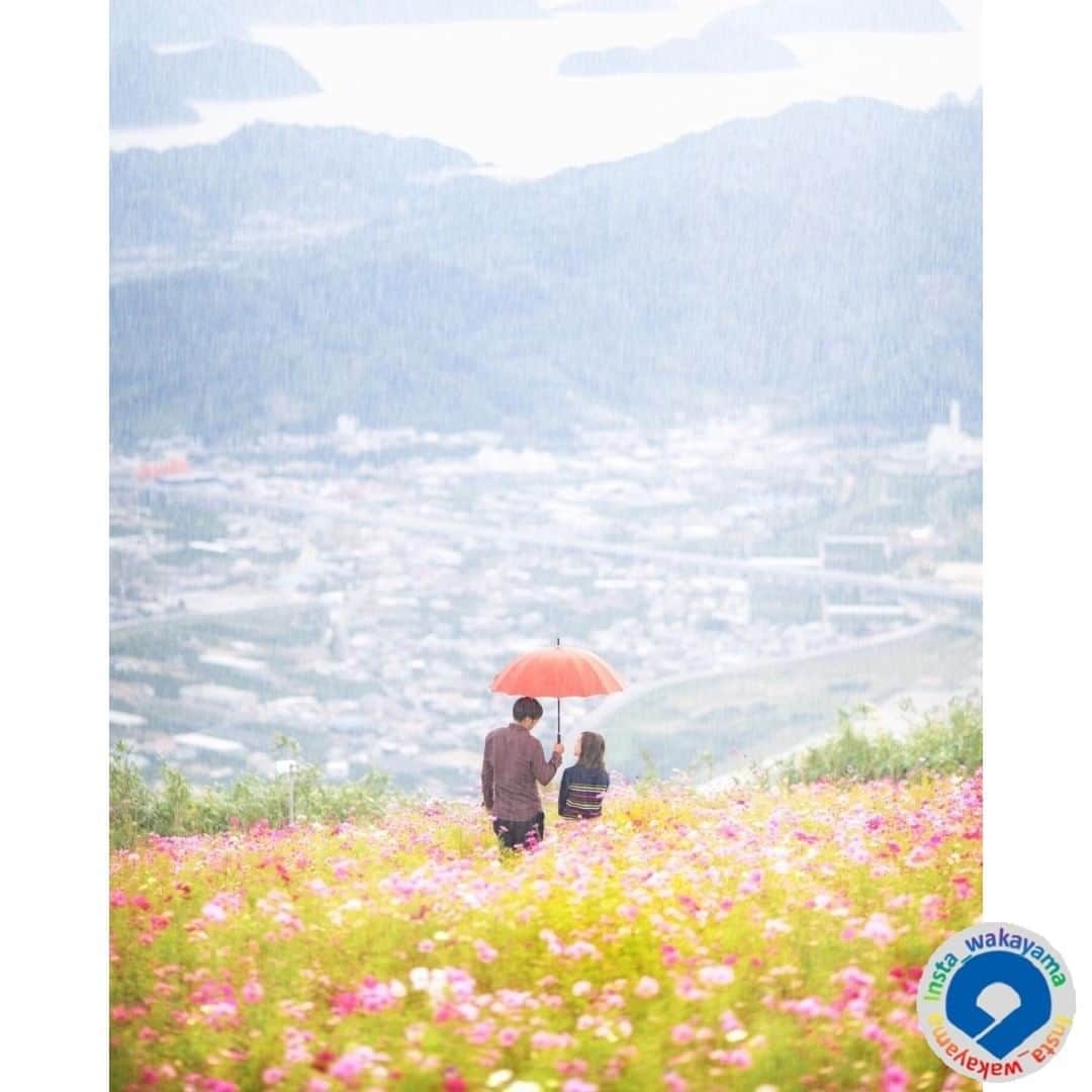 和歌山県のインスタグラム