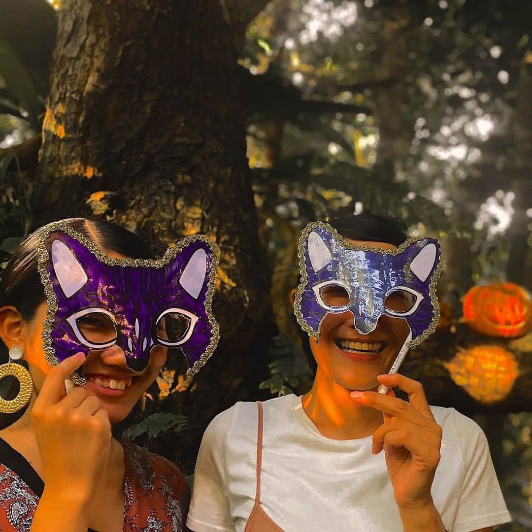 星野リゾートさんのインスタグラム写真 - (星野リゾートInstagram)「【星野リゾートのご当地ハロウィンイベント】 イリオモテヤマネコをテーマにした「ヤマネコハロウィン」  [Hoshino Resorts Halloween Event Series] Iriomote Wildcat themed "Yamaneko Halloween"  西表石垣国立公園に位置するリゾート「星野リゾート 西表島ホテル」では、2020 年 10 月 1 日から 31 日の期間、イリオモテヤマネコをテーマにしたイベント「ヤマネコハロウィン」を開催します。施設内のジャングルにいるような気分になるパブリックスペース「ジャングル Kichi」を、ヤマネコの顔をモチーフにしたジャックオーランタンやパイナップルで作ったジャックオーランタンなどで装飾します。  その他、「ジャングル Kichi」には、イリオモテヤマネコの仮面制作コーナーを用意。完成した仮面で仮装をお楽しみください。ビュッフェレストランでは、魔女の帽子やネコの目、耳の形にしたクッキーやチョコレートなど、アイスクリームのデコレーションアイテムがあり、ハロウィンイベントを盛り上げます。  #HoshinoResorts #星野リゾート #IriomoteHotel #西表島ホテル #Okinawa #Yaeyamaislands #IriomoteIsland #沖縄 #沖縄県 #八重山諸島 #西表島 #ハロウィン  #halloween #仮装」10月19日 17時01分 - hoshinoresorts.official