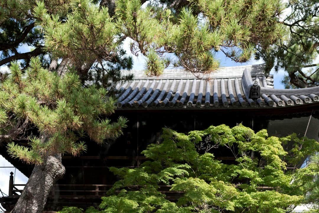 東京都庁広報課さんのインスタグラム写真 - (東京都庁広報課Instagram)「「泉岳寺／Sengakuji Temple (2020.9.8撮影)」最寄駅：泉岳寺駅  #泉岳寺 #忠臣蔵 #寺院仏閣 #赤穂浪士 #大石内蔵助 #高輪ゲートウェイ #義士祭 #tokyotokyo #tokyogram #moodygrams #jp_gallery #ptk_japan #gdayjapan #realtokyo #beautifuldestinations #tokyojapan #instatokyo #loves_nippon #phos_japan #bestjapanpics #cooljapan #japan_of_insta #photo_jpn #illgrammers #景色 #東京 #Tokyo #东京 #도쿄 #tokyogood」10月19日 17時01分 - tocho_koho_official