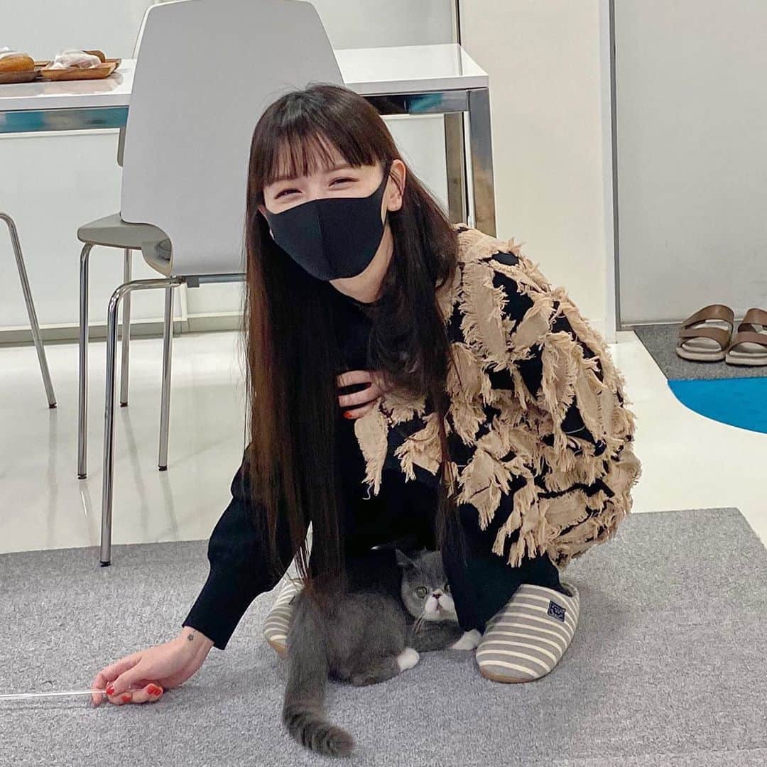 千吉良恵子さんのインスタグラム写真 - (千吉良恵子Instagram)「#鈴木えみ　@emisuzuki_official ちゃんが ふうに会いに来てくれました😍💕 #手乗りふう #三枚目のえみちゃんのとろける様な笑顔がたまらない💕 また遊びに来て😸💕 えみちゃんが帰る時ドアのところでえみちゃんのコートに隠れて出て来なくなっちゃって😅💦ふうもえみちゃんにメロメロでした😍💕」10月19日 17時16分 - chigirakeiko