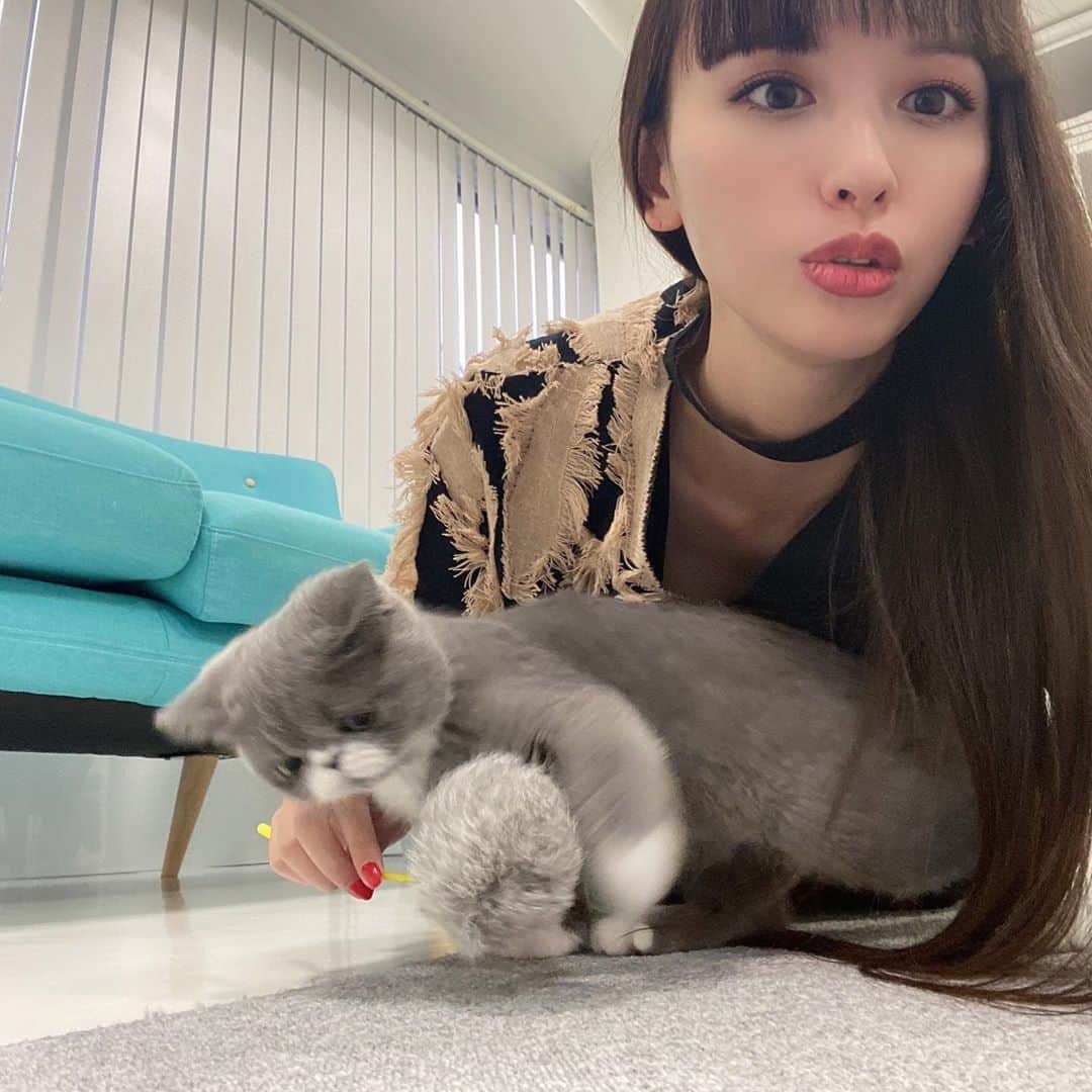 千吉良恵子さんのインスタグラム写真 - (千吉良恵子Instagram)「#鈴木えみ　@emisuzuki_official ちゃんが ふうに会いに来てくれました😍💕 #手乗りふう #三枚目のえみちゃんのとろける様な笑顔がたまらない💕 また遊びに来て😸💕 えみちゃんが帰る時ドアのところでえみちゃんのコートに隠れて出て来なくなっちゃって😅💦ふうもえみちゃんにメロメロでした😍💕」10月19日 17時16分 - chigirakeiko