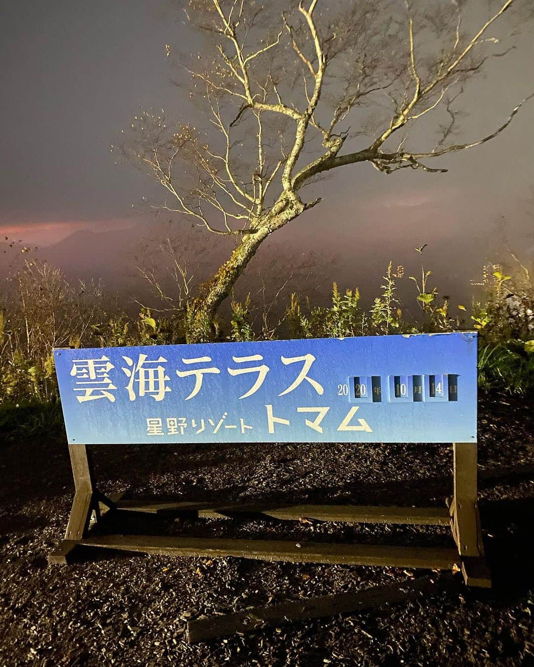 CHIHAさんのインスタグラム写真 - (CHIHAInstagram)「北海道の雲海を見に、念願の星野リゾートトマムへ宿泊しました❤️﻿ ﻿ 残念ながら今回雲海は見られなかったけれど、また宿泊したい素敵な場所だった🕊‼︎‼︎﻿ ﻿ 星野リゾート内のビュッフェはぷりっぷりの蟹も食べ放題で美味しかったの！🦀✨✨﻿ ﻿ ﻿ #星野リゾートリゾナーレトマム #星野リゾート #ビュッフェダイニングhal #トマム #北海道 #北海道旅行 #雲海 #星野リゾートトマム #雲海テラス #雲海カフェ #雲海☁️ #japan #hokkaido #hokkaidotrip #hoshinoresorts #seaofclouds #risonaretomamu #hal #buffetdininghal」10月19日 17時18分 - chiha6170