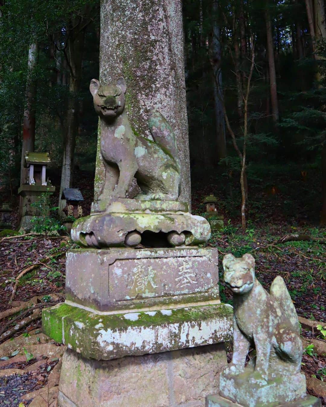 Rediscover Fukushimaさんのインスタグラム写真 - (Rediscover FukushimaInstagram)「At Nanko Shrine I felt enchanted by the beautiful towering trees and the charming little features.✨  Like this family of fox statues! 🦊💕  After visiting the main shrine, walk a bit deeper into the forest to find this red Tori gate ⛩, a smaller shrine, and the four little foxes. 🦊🦊🦊🦊  🍁To learn more about the rich history of Nanko shrine check out our website: https://fukushima.travel/destination/nanko-park/53   #NankoShrine #Torigate #Shrine #Shinto #Japan #Japantrip #Travel #Shirakawa #Foxes #Nature #Mystical #Touhoku #visitfukushima! #Fukushima #fukushimagram #Red」10月19日 17時26分 - rediscoverfukushima