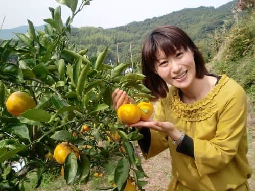 女子アナ47のインスタグラム：「こんにちは！岡山・香川、石川、徳島の放送局でアナウンサーをしてきた小坂知里です。 日に日に秋めいてきましたね！ 秋といえばスポーツの秋、読書の秋、芸術の秋と様々ありますが、今回お届けするのは「果物の秋」。 これから旬を迎える果物に「みかん」がありますが、四国・徳島県でも美味しいみかんを楽しむことができますよ♪  詳しくはプロフィール欄にあるＵＲＬから‘４７発信プロジェクト’をご覧ください！   #女子アナ47 #47発信プロジェクト #アナウンサー #フリーアナウンサー #女子アナ #地方創生 #地方創生アナウンサー #司会 #mc #ブログ #47都道府県 #地域活性化 #徳島県 #徳島 #勝浦町 #みかん #温州みかん #みかん #みかん狩り #観光みかん園 #パイロット松下園 #柿 #柿狩り #食欲の秋 #果物の秋 #フルーツ #遠足 #秋の味覚 #旅好きな人と繋がりたい」