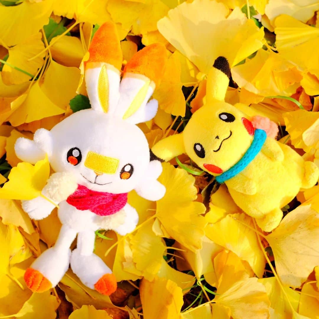 ピカチュウ公式Instagramさんのインスタグラム写真 - (ピカチュウ公式InstagramInstagram)「【今日のピカチュウ】 ヒバニーと落ち葉にごろーん🍂🎶 ふかふかの黄色いベッドみたい🥰 #pikachu #scorbunny #pokemon #pikachu_snap #photooftheday #autumnleaves #fallenleaves #fall #autumn #ピカチュウ #ヒバニー #ポケモン #紅葉 #落ち葉 #秋」10月19日 18時00分 - pokemon_jpn