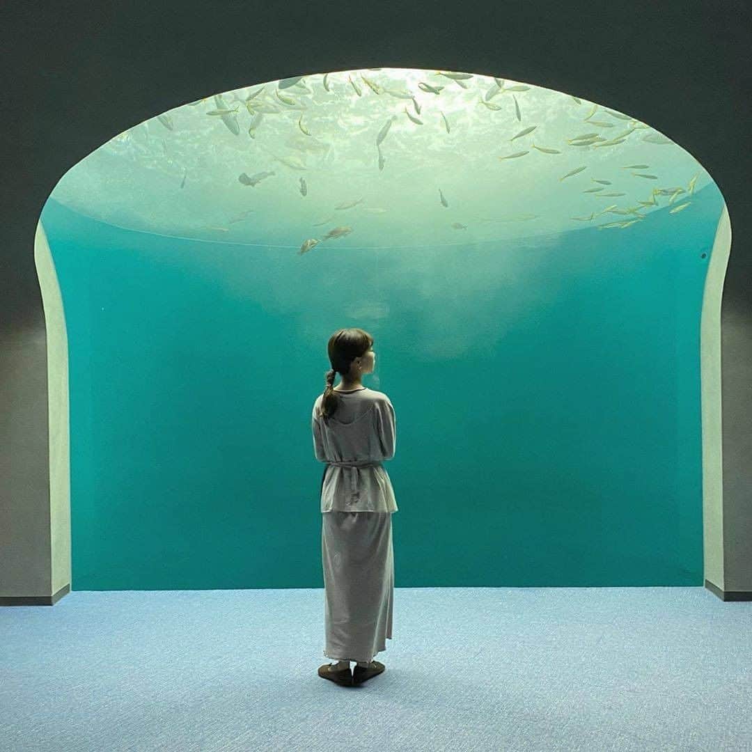 のインスタグラム：「『 #四国水族館 🐠 』　　  香川県にある素敵な水族館🐋 一度は行ってみたいな🥺﻿  Photo by﻿ @megu.03_03 @eripateee  @raurim___ @arichanig  ✴︎---------------✴︎---------------✴︎﻿ ﻿ ▶▶Instagram・Twitter・TikTokで掲載する写真を募集中📸﻿ カワイイ写真が撮れたら、@velle.jp をタグ付けするか、ハッシュタグ #velle_jp をつけて投稿してみてね♪﻿ ﻿ velle編集部と一緒にカワイイで溢れるvelleを創っていこう😚🤍  ✴︎---------------✴︎---------------✴︎﻿ #四国旅行 #香川旅行 #香川観光 #水族館 #香川県 #四国水族館 #四国旅行 #国内旅行 #旅行コーデ #旅行好きな人と繋がりたい #おでかけスポット #休日の過ごし方 #たびすたぐらむ #たびじょ #旅行コーデ #観光スポット #穴場スポット #ハヤリタビ #guコーデ #四国観光 #おすすめスポット #1泊2日の旅 #香川旅行 #香川観光 #香川カフェ #水族館巡り #イルカ #観光スポット」