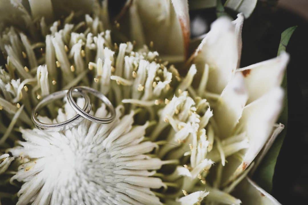 ハワイ挙式のCheersWedding チアーズウェディングのインスタグラム