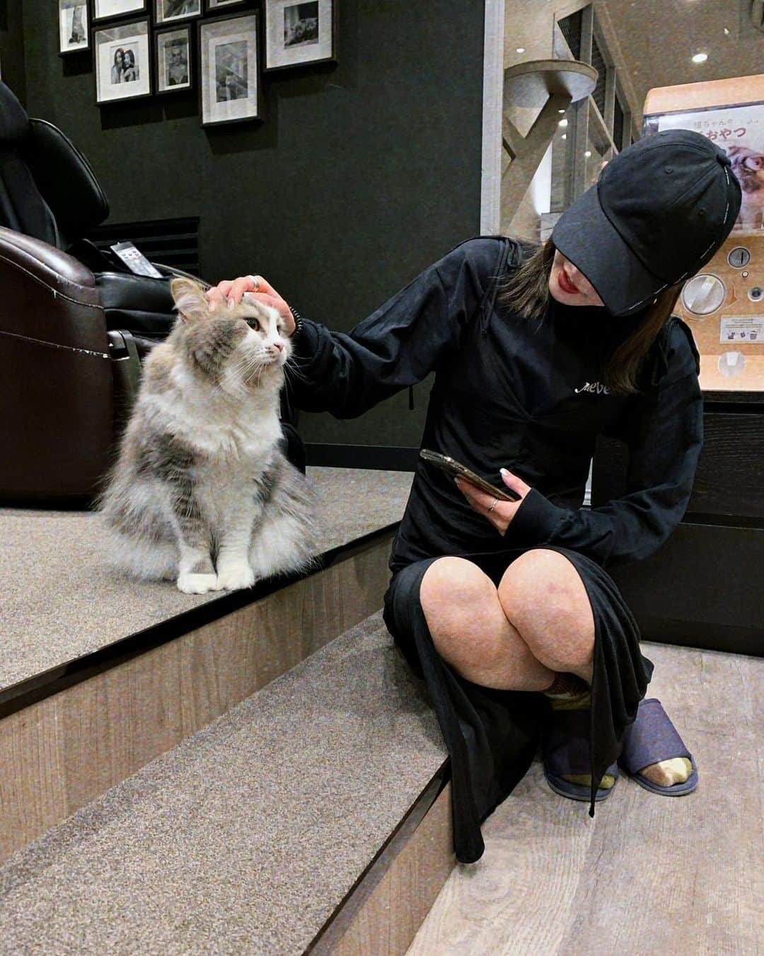 所谷舞さんのインスタグラム写真 - (所谷舞Instagram)「@natsuha_maeyama と初猫カフェ行ってきた🐱💓 . みんなHalloweenの仮装してて可愛かったなぁ🤤 漫画もあるし、飲み物もあるし １時間あっとゆーまだったなぁ🥺 癒されたぁぁぁ😩🌼 マスクはずっとしてたよ🐈 . . . #猫カフェmocha  #猫カフェ #渋谷猫カフェ」10月19日 18時35分 - _mai_i_