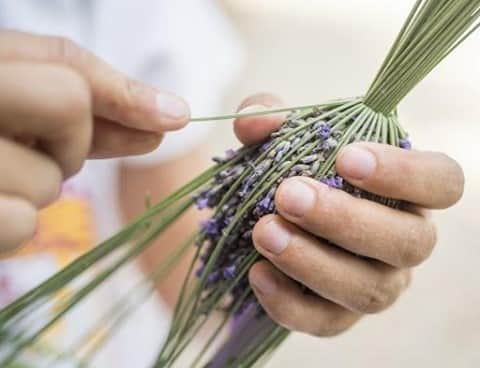 ロクシタンさんのインスタグラム写真 - (ロクシタンInstagram)「“Lavender wands are handmade from July to September with fresh lavender. The stems are turned over and woven with a ribbon. The enclosed flowers retain their fragrance for several years. Just squeeze the wand to release the smell” - @fuseauxdelavandeprovence 💜⁣ ⁣ ⁣ #Celebratingcraft #Lavender #Handmade #Provence #Loccitane」10月19日 19時00分 - loccitane