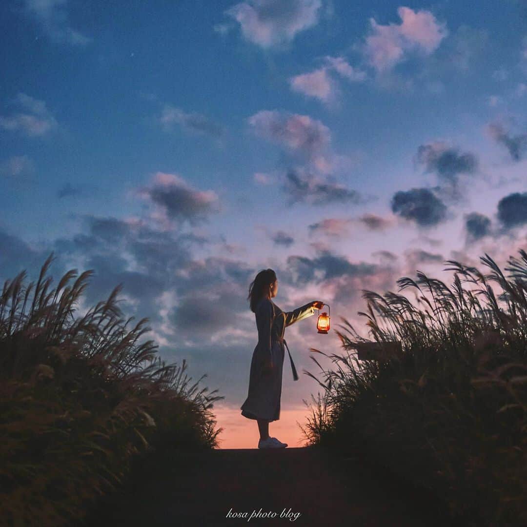 のインスタグラム：「秋の夕暮れ 日が沈むと一気に寒くなりますね🥶 . Location:和歌山 Wakayama / Japan🇯🇵 Date:2020年10月 . #ススキ #生石高原 #insta_wakayama #グッドトリップ和歌山 #visitwakayama #かつらぎーの #きみのフォトコン2020 #japan_night_view_member #TandDフォトコンテスト2020 #discover #今こそ写真でつながろう #art_of_japan_ #tokyocameraclub #dpj_member #team_jp_ #IG_PHOS #photo_jpn #ptk_japan #pt_life_ #bestjapanpics #LBJ_Legend #ポトレ撮影隊 #as_archive #jp_portrait部 #jp_mood #reco_ig #season_girls_collection #広がり同盟メンバー #japan_of_insta #s_shot」