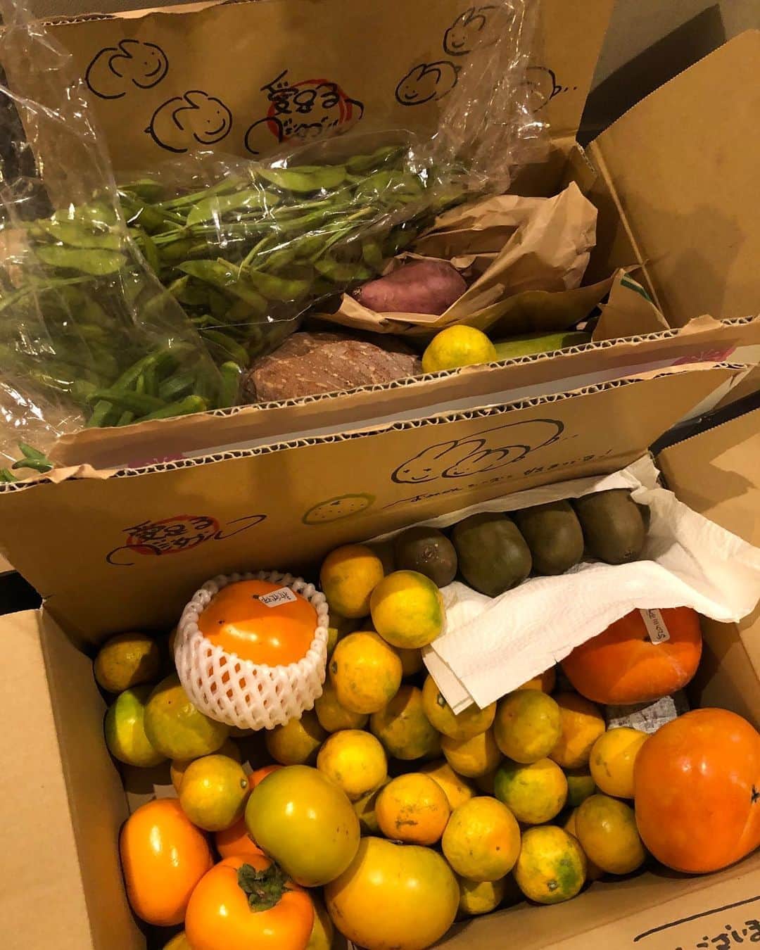 のインスタグラム：「待ちに待った、愛足るベジタブル　@italvegetable さんのフルーツと野菜の詰め合わせ！！  柿だけでも何種類あるの？と驚かされながら楽しんでいます(o^^o)  大切に育てられた和歌山の有機野菜とフルーツ、大切にいただきまーす(//∇//)  #愛足るベジタブル #和歌山#安心して食べられる#詰め合わせ#柿#秋の味覚」