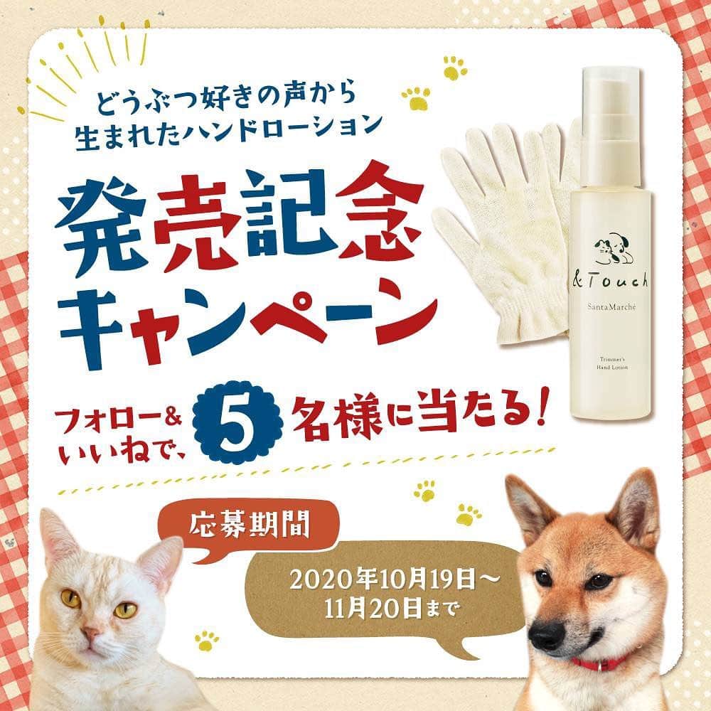 のインスタグラム：「どうぶつ好きの声から生まれたハンドローション💕🐾﻿ ＼✨発売記念キャンペーン🌈／﻿ ﻿ 当アカウントをフォロー&投稿にイイネで、﻿トリマーズハンドローション「&Touch」現品と﻿ハンドケア手袋セットが5名様に当たる❗️❗️﻿ ﻿ ◎応募方法　 1、サンタマルシェ公式Instagramアカウント(@santamarche)をフォローする 2、キャンペーン投稿にイイネ！をする  ◎応募期間﻿ 2020年10月19日(月)〜11月20日(金)迄﻿ ※景品は12月上旬以降の発送を予定しております。  当選発表につきまして、 ・応募締め切り後、厳正な抽選の上、当選者を決定いたします。 ﻿・賞品をお送りする上で当選者へダイレクトメッセージでご連絡しますので、ご発送に必要なお届け先情報をお教えください。(お名前、郵便番号・ご住所、電話番号)  #santamarche#クレア#CLAIR#トリマーズハンドローション#新発売#ペット#犬#猫#Pets#動物#犬好きさんと繋がりたい#猫好きさんと繋がりたい#可愛い#愛犬#愛猫#トリマー#ペットコスメ#ペットのいる生活#dog#cat#天然由来#保湿﻿#キャンペーン#懸賞」