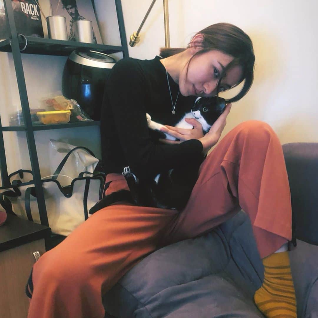 特蕾沙（Teresa）のインスタグラム：「：寶逼來我抱一下  ：修但幾勒  ？」