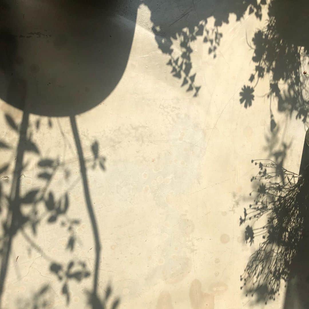 플로리스트 김애진(케이라플레르)さんのインスタグラム写真 - (플로리스트 김애진(케이라플레르)Instagram)10月19日 19時25分 - keirafleur