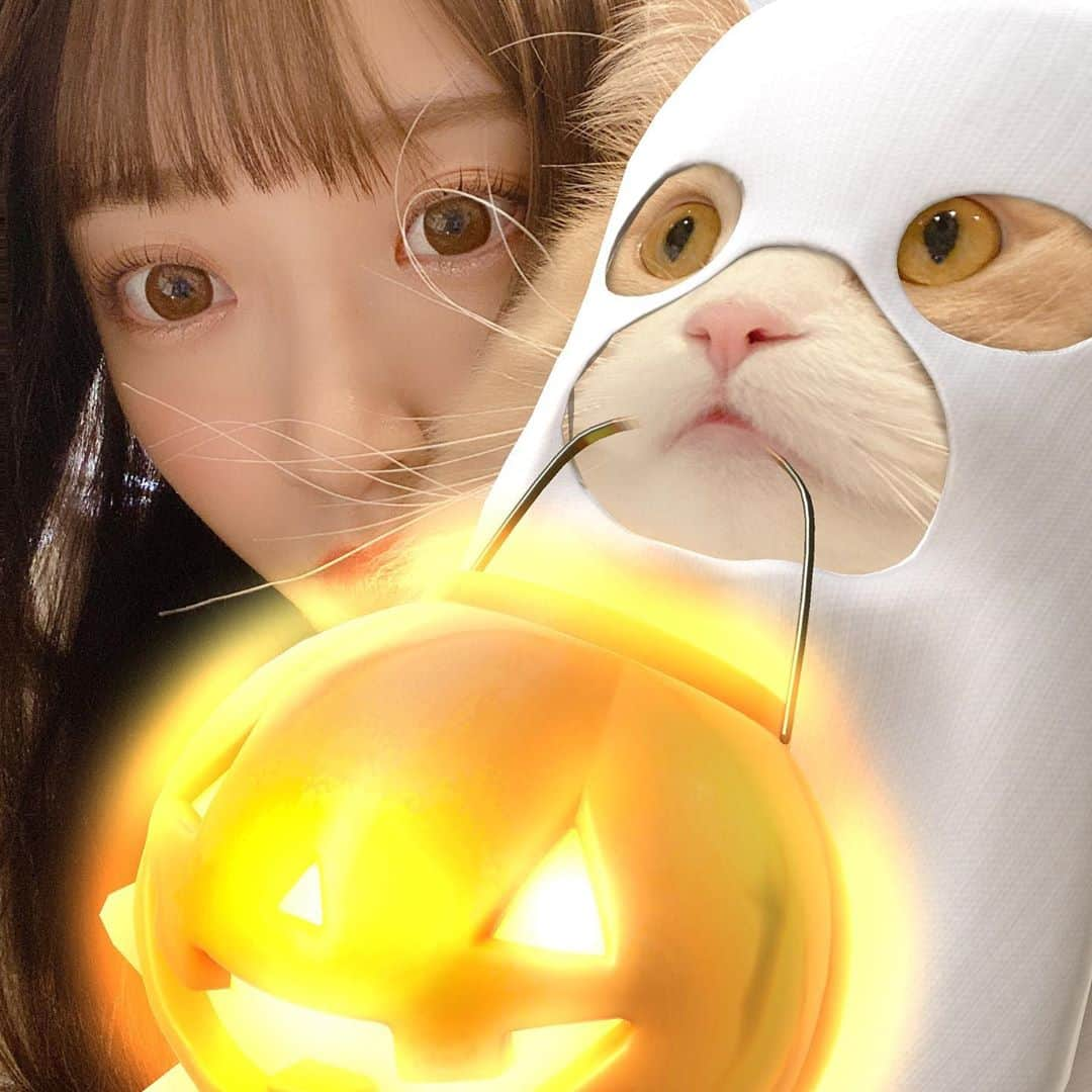 さぁやさんのインスタグラム写真 - (さぁやInstagram)「snowの猫スタンプに﻿ ハロウィン出てたから頑張ったけど﻿ ほぼ失敗だーー🤣﻿ ﻿ 別の生物感あるｗｗｗ﻿ 特に仮面みたいなのやばくない🤣﻿？ ﻿ ﻿ ﻿ #ねこすたぐらむ #アルルイ兄弟﻿ #ねこ #猫 #猫との暮らし #ハロウィン」10月19日 19時31分 - saaya831