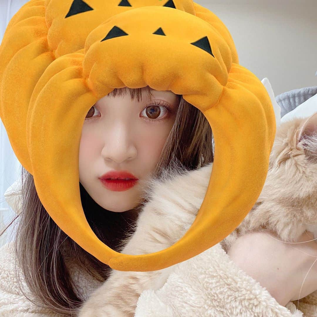 さぁやさんのインスタグラム写真 - (さぁやInstagram)「snowの猫スタンプに﻿ ハロウィン出てたから頑張ったけど﻿ ほぼ失敗だーー🤣﻿ ﻿ 別の生物感あるｗｗｗ﻿ 特に仮面みたいなのやばくない🤣﻿？ ﻿ ﻿ ﻿ #ねこすたぐらむ #アルルイ兄弟﻿ #ねこ #猫 #猫との暮らし #ハロウィン」10月19日 19時31分 - saaya831