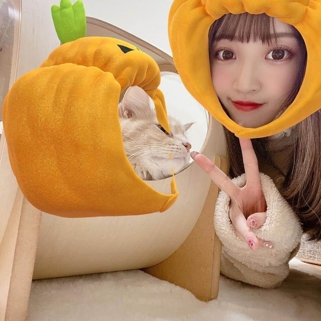 さぁやさんのインスタグラム写真 - (さぁやInstagram)「snowの猫スタンプに﻿ ハロウィン出てたから頑張ったけど﻿ ほぼ失敗だーー🤣﻿ ﻿ 別の生物感あるｗｗｗ﻿ 特に仮面みたいなのやばくない🤣﻿？ ﻿ ﻿ ﻿ #ねこすたぐらむ #アルルイ兄弟﻿ #ねこ #猫 #猫との暮らし #ハロウィン」10月19日 19時31分 - saaya831