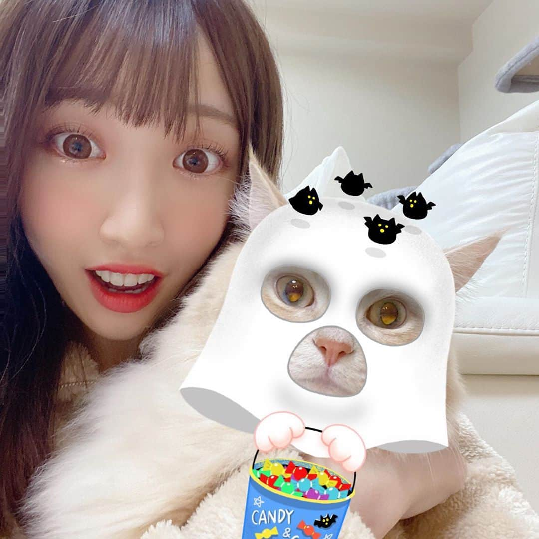 さぁやさんのインスタグラム写真 - (さぁやInstagram)「snowの猫スタンプに﻿ ハロウィン出てたから頑張ったけど﻿ ほぼ失敗だーー🤣﻿ ﻿ 別の生物感あるｗｗｗ﻿ 特に仮面みたいなのやばくない🤣﻿？ ﻿ ﻿ ﻿ #ねこすたぐらむ #アルルイ兄弟﻿ #ねこ #猫 #猫との暮らし #ハロウィン」10月19日 19時31分 - saaya831