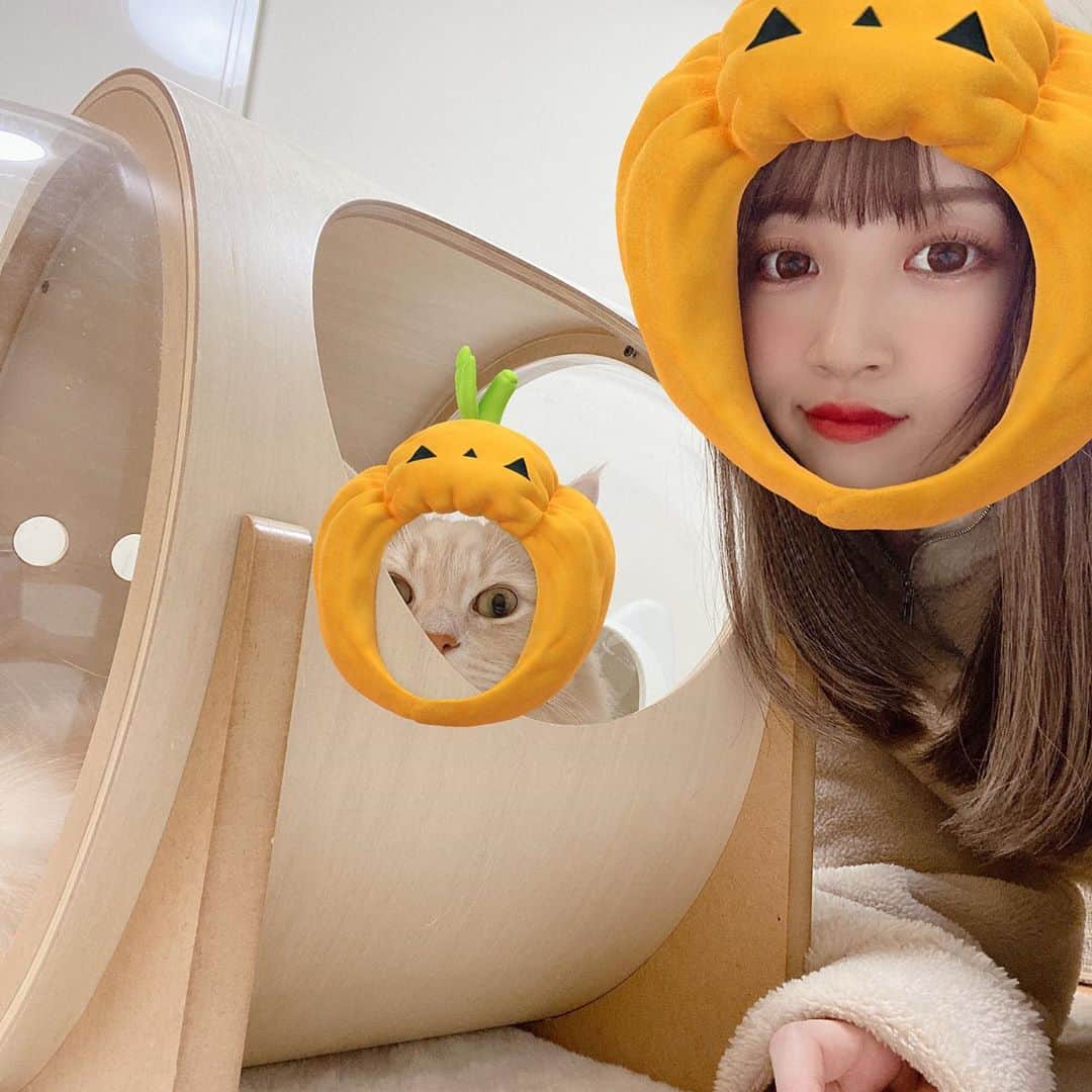 さぁやさんのインスタグラム写真 - (さぁやInstagram)「snowの猫スタンプに﻿ ハロウィン出てたから頑張ったけど﻿ ほぼ失敗だーー🤣﻿ ﻿ 別の生物感あるｗｗｗ﻿ 特に仮面みたいなのやばくない🤣﻿？ ﻿ ﻿ ﻿ #ねこすたぐらむ #アルルイ兄弟﻿ #ねこ #猫 #猫との暮らし #ハロウィン」10月19日 19時31分 - saaya831