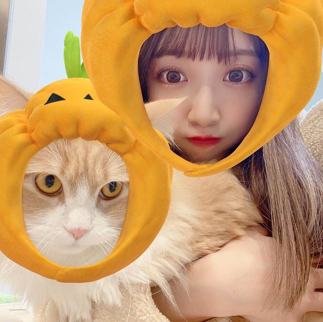 のインスタグラム：「snowの猫スタンプに﻿ ハロウィン出てたから頑張ったけど﻿ ほぼ失敗だーー🤣﻿ ﻿ 別の生物感あるｗｗｗ﻿ 特に仮面みたいなのやばくない🤣﻿？ ﻿ ﻿ ﻿ #ねこすたぐらむ #アルルイ兄弟﻿ #ねこ #猫 #猫との暮らし #ハロウィン」