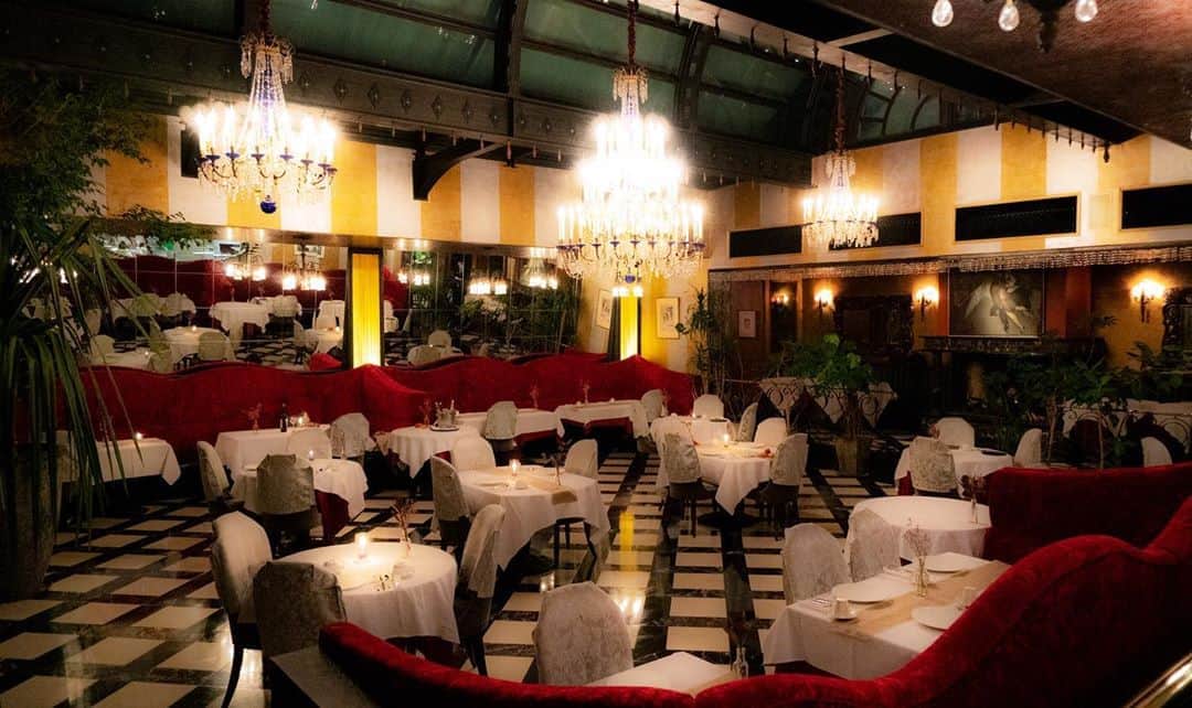 ステラートのグルメインスタ