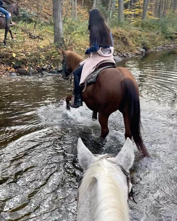 稲木ジョージのインスタグラム：「Horses are so cute 🥺🐎 My first horseback riding with my friend Olivia💕🍂🍁  郊外までドライブして、お友達と乗馬しましたー🌾 秋の景色が美しくて、いい経験になった😚」