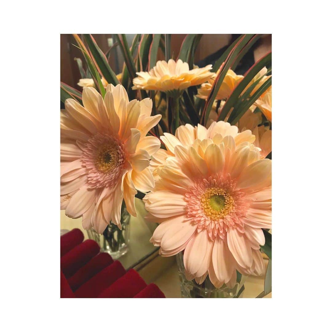 森脇加奈子のインスタグラム：「今日くらいからインスタをがんばっていくぞ…🌼」