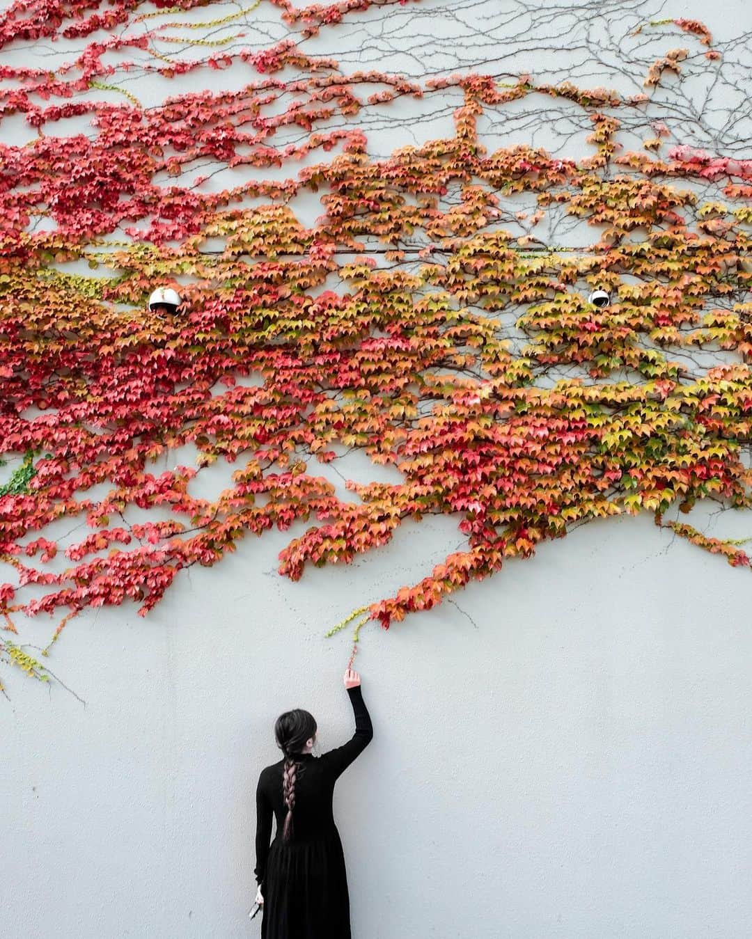 TAKI Modのインスタグラム：「. . autumn wall🍁 . . 来年はソロキャンデビューしたいなぁ⛺️ . . 【location : Niigata , Japan 】 . . follow☞@team_jp tag ☞#team_jp_ ←最後の_忘れず . . XPRO2 / XF16-55mm F2.8 . . #portrait#ポートレート  #RECO_ig  #igersjp#IG_phos #写真好きな人と繋がりたい#その瞬間に物語を#スクリーンに恋して#genic_japan  #pasha_magazine @FUJIFILMjp_x  @FUJIFILM_xseries」