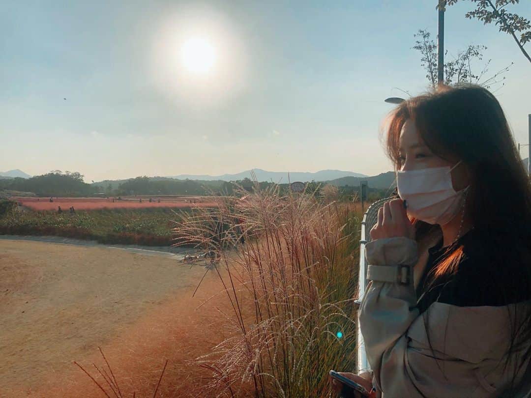 チョン・ハナのインスタグラム：「✨양주시 홍보대사 알림✨  양주나리공원은 4시까지 입장가능하니 그 전에 가세요👏🏻 (네이버검색은 5시라 써있지만 아닙니다!!) ~ 10월 31일  9분차이 입장실패‼️ 다시 도전 예정  #양주나리공원 #핑크뮬리」