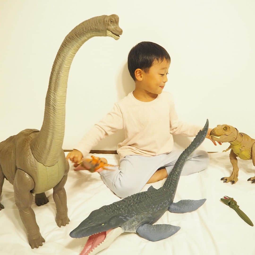 榮樹実さんのインスタグラム写真 - (榮樹実Instagram)「. 先週で5歳になった息子😎 . 息子を産んだあの日から、もう5年も経ったのかと思うと…🥺 . . お誕生日は本人のリクエストで旅行&大好きな恐竜たちのプレゼントに🦖 ゲームもするようになったので、頭を使うタブレットPC系もありかなぁなんて思っていたけど、、 . ブラキオサウルスだけで全長1mもあり🦕😂 モササウルスも70cm越え… 正直どこに置くの？と思っていた母ですが😭笑 . 何より本人が欲しがっていたのとパパも恐竜好きで買う気満々だったので、もう気にしないことにしました🤣🦖 喜んでいたので問題なし❣️🤣 . . どんどん少年らしくなっていく息子。 世の中には色々な生き方があって、 どれも正解にしていくのは自分だということを忘れずに 彼が自分を信じて進みたい道を歩めるよう、 見守っていきたいなと思います☺️ . そして私も、人生において息子のおかげで出逢えた世界があることに感謝しながら、一緒に成長してゆきます🙏まだまだ母6年目🙏 . . .  #5歳誕生日 #5歳男の子 #年中さん #5歳誕生日プレゼント #恐竜グッズ #恐竜好き #ブラキオサウルス #モササウルス #ティラノもいるよ #プテラノドン #全部プレゼント #恐竜男子 #ジュラシックワールド  .  #birthdayboy #5thbirthday」10月19日 20時46分 - jumisakae