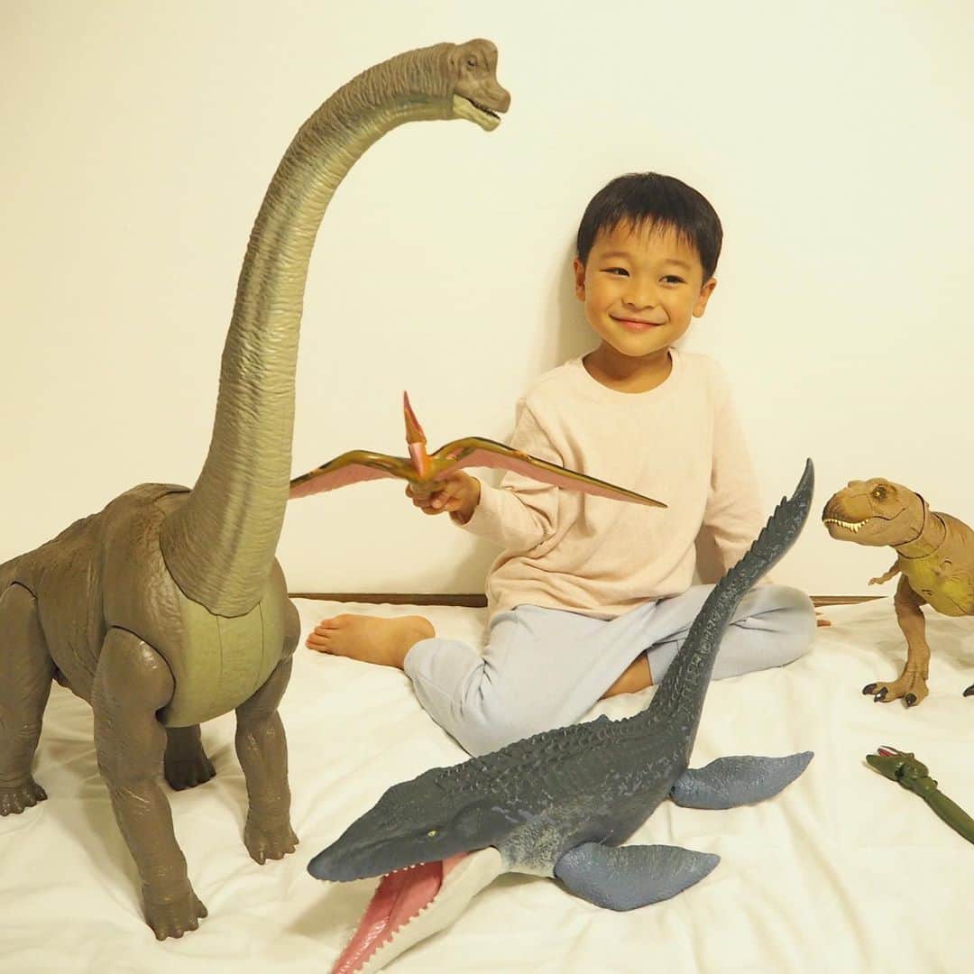 榮樹実さんのインスタグラム写真 - (榮樹実Instagram)「. 先週で5歳になった息子😎 . 息子を産んだあの日から、もう5年も経ったのかと思うと…🥺 . . お誕生日は本人のリクエストで旅行&大好きな恐竜たちのプレゼントに🦖 ゲームもするようになったので、頭を使うタブレットPC系もありかなぁなんて思っていたけど、、 . ブラキオサウルスだけで全長1mもあり🦕😂 モササウルスも70cm越え… 正直どこに置くの？と思っていた母ですが😭笑 . 何より本人が欲しがっていたのとパパも恐竜好きで買う気満々だったので、もう気にしないことにしました🤣🦖 喜んでいたので問題なし❣️🤣 . . どんどん少年らしくなっていく息子。 世の中には色々な生き方があって、 どれも正解にしていくのは自分だということを忘れずに 彼が自分を信じて進みたい道を歩めるよう、 見守っていきたいなと思います☺️ . そして私も、人生において息子のおかげで出逢えた世界があることに感謝しながら、一緒に成長してゆきます🙏まだまだ母6年目🙏 . . .  #5歳誕生日 #5歳男の子 #年中さん #5歳誕生日プレゼント #恐竜グッズ #恐竜好き #ブラキオサウルス #モササウルス #ティラノもいるよ #プテラノドン #全部プレゼント #恐竜男子 #ジュラシックワールド  .  #birthdayboy #5thbirthday」10月19日 20時46分 - jumisakae